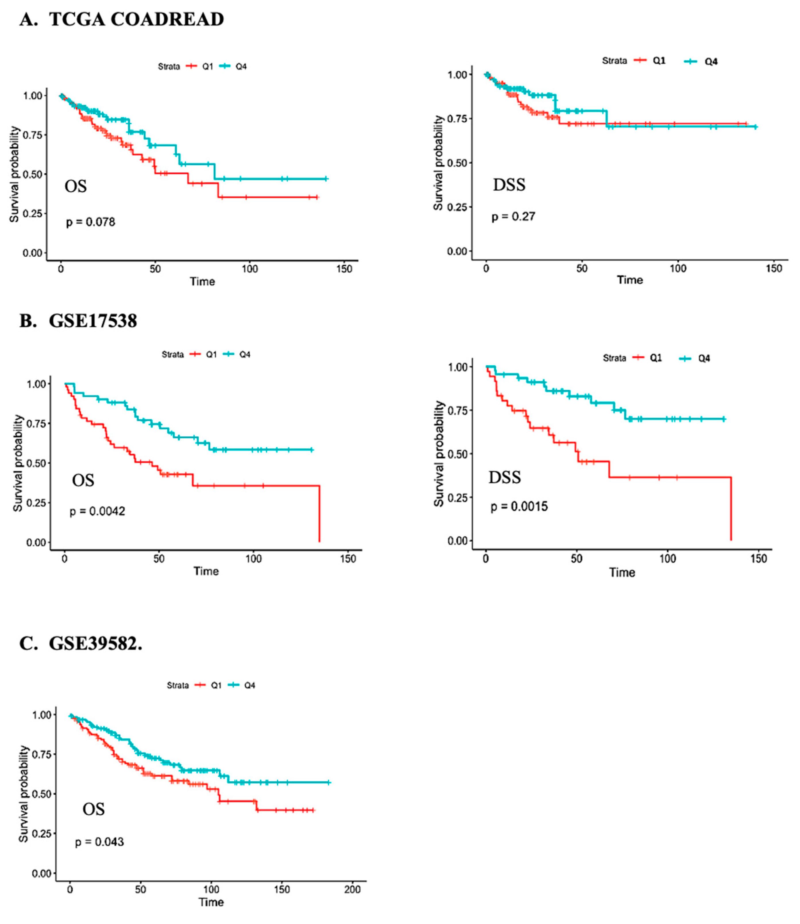 Cancers 15 00989 g001