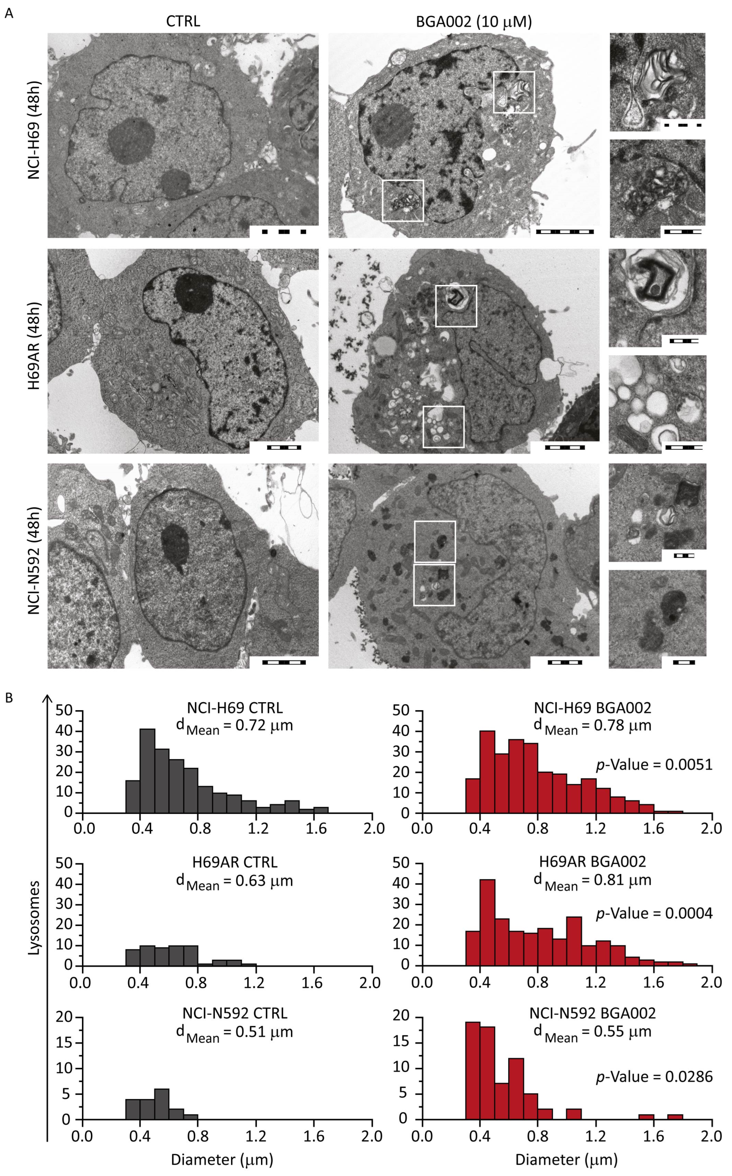 Cancers 15 00990 g002 Cancers 15 00990 g002