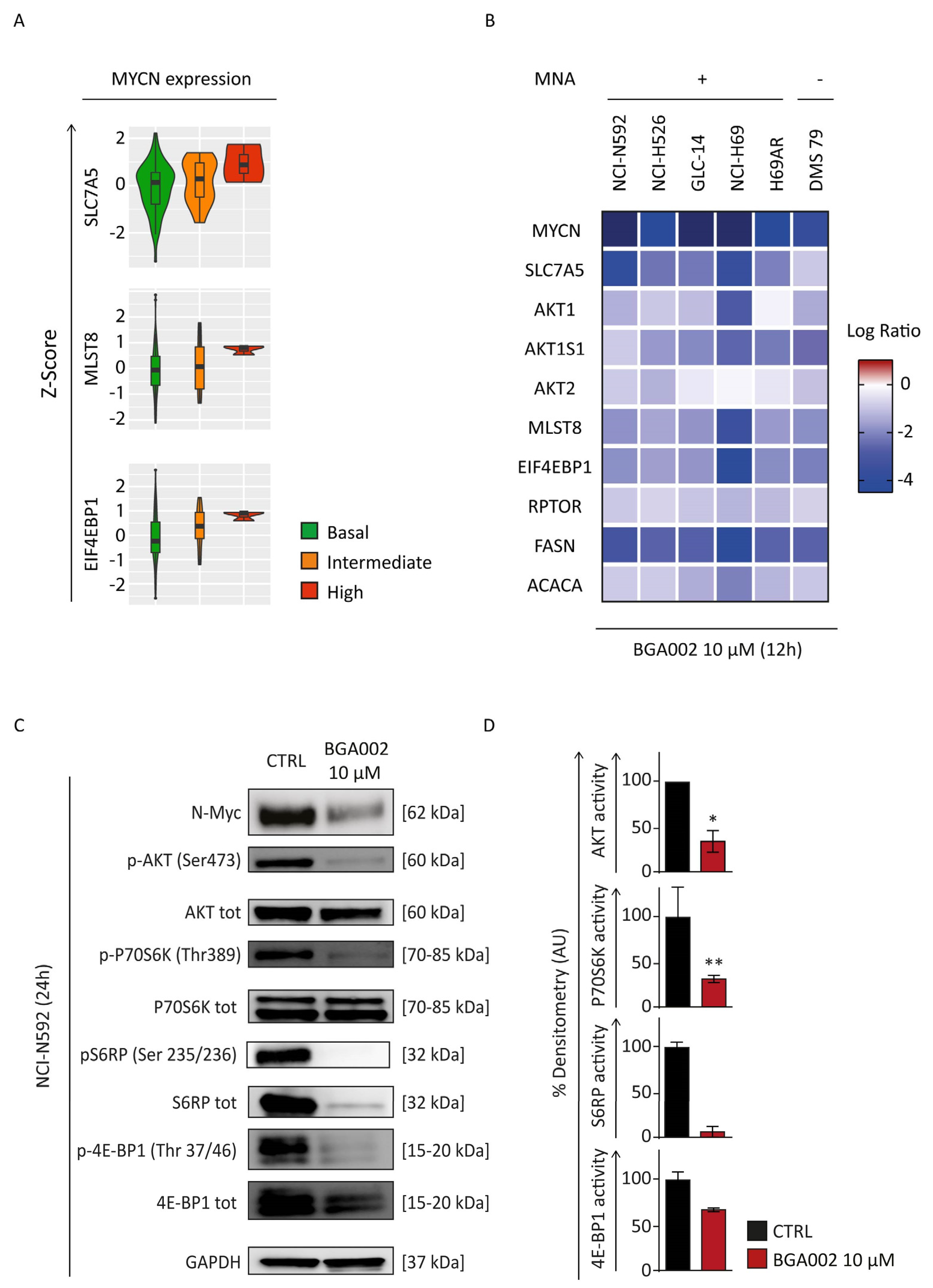 Cancers 15 00990 g003 Cancers 15 00990 g003