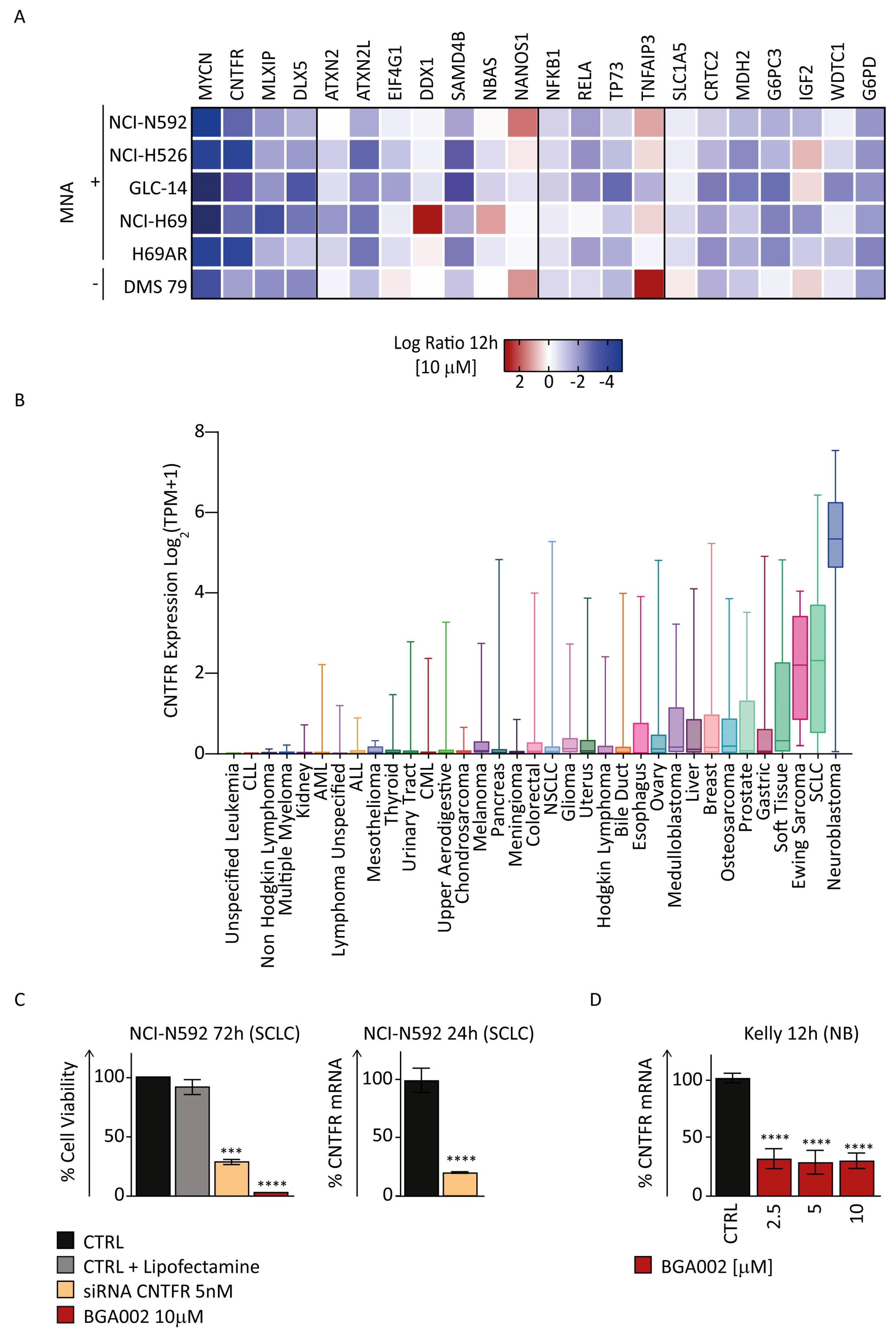 Cancers 15 00990 g004 Cancers 15 00990 g004