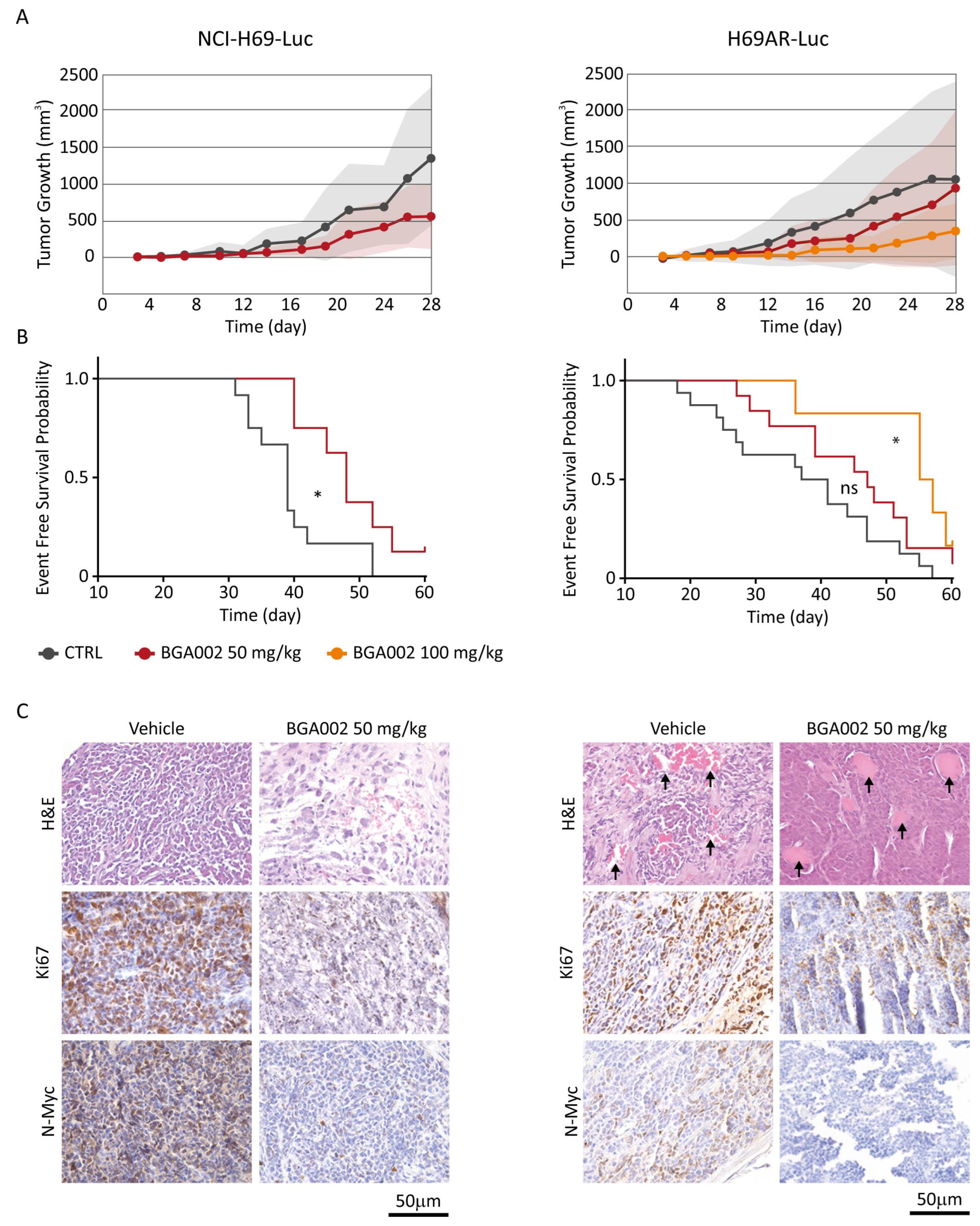 Cancers 15 00990 g005 Cancers 15 00990 g005