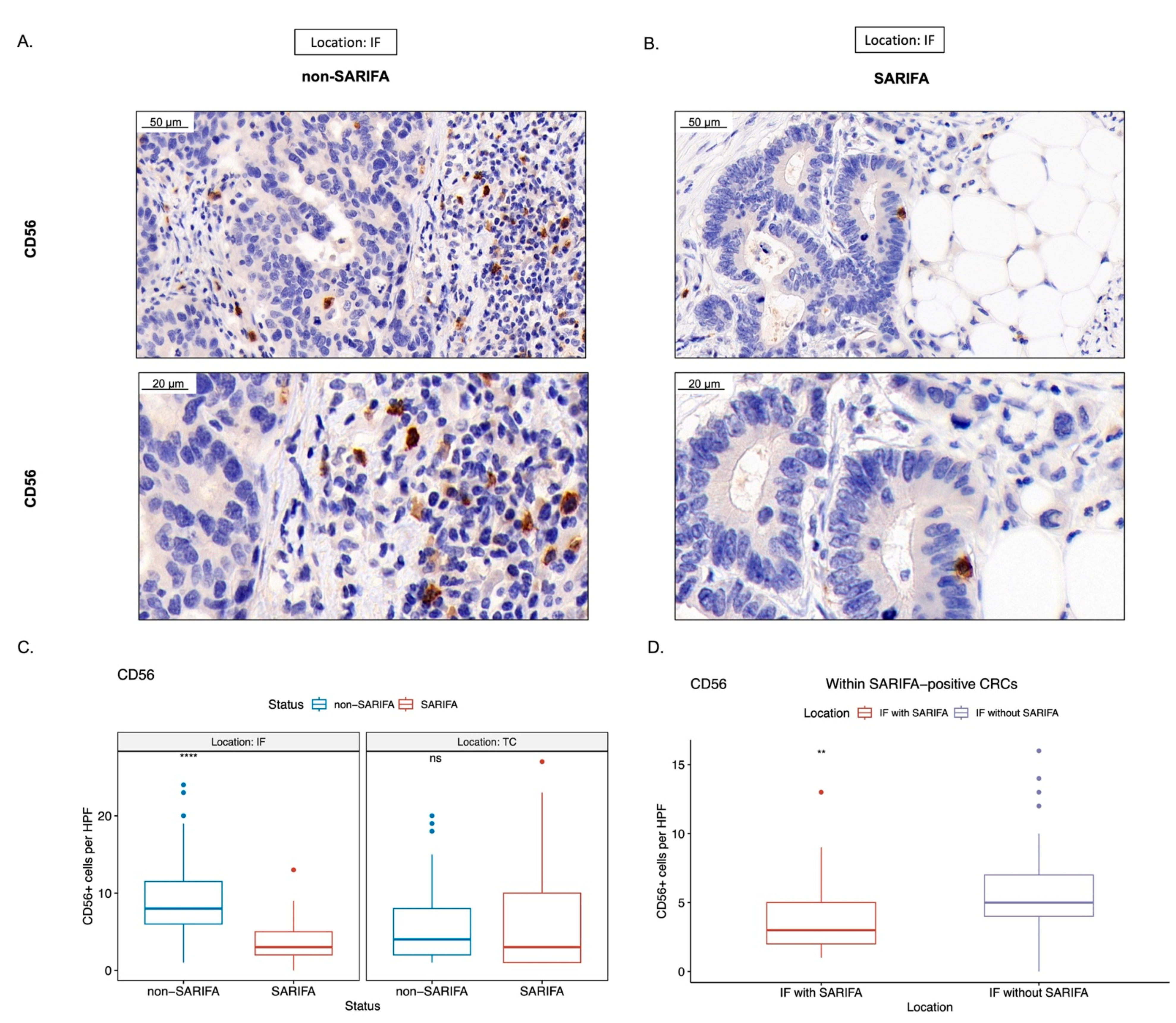 Cancers 15 00994 g004 Cancers 15 00994 g004