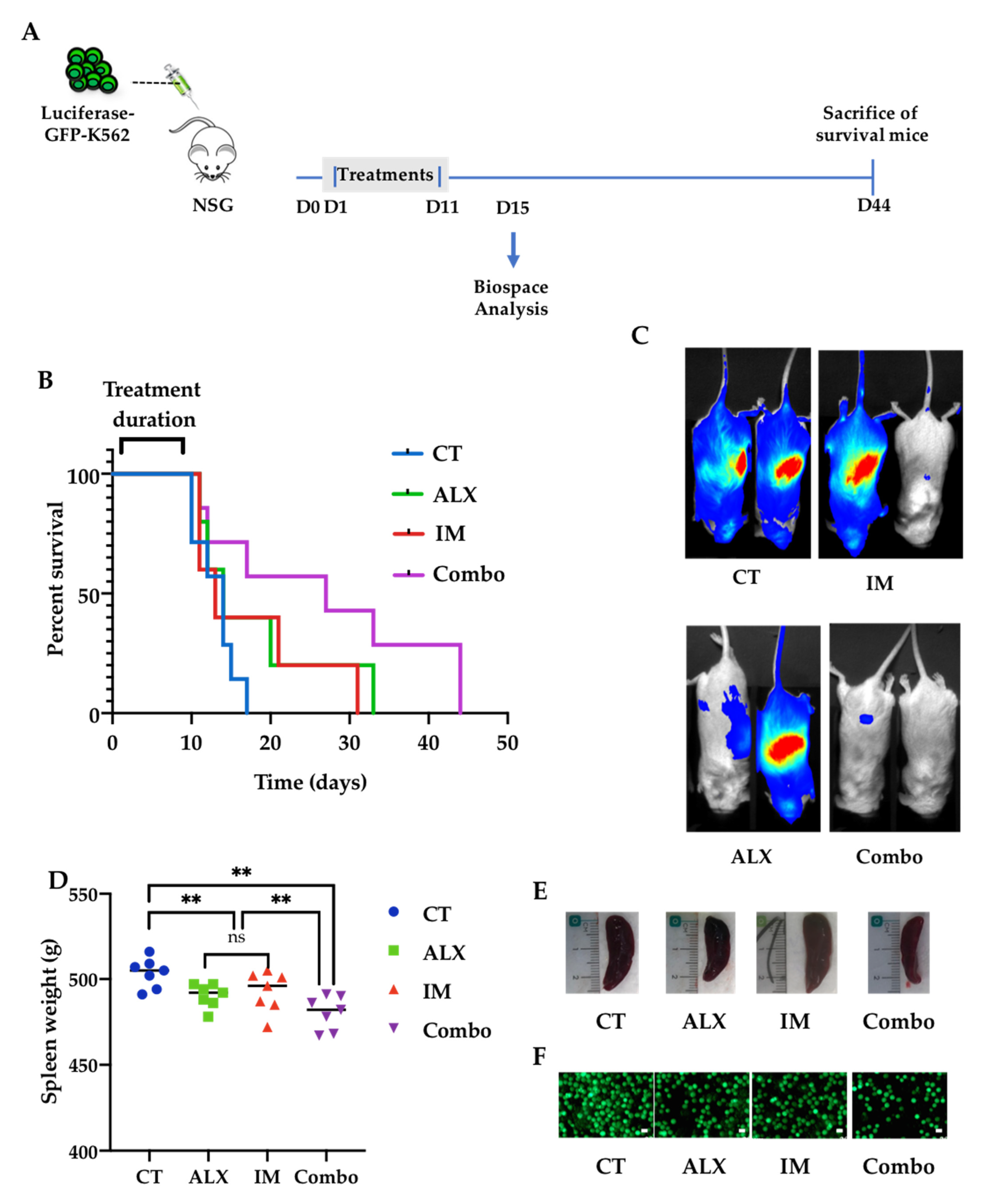 Cancers 15 00995 g006