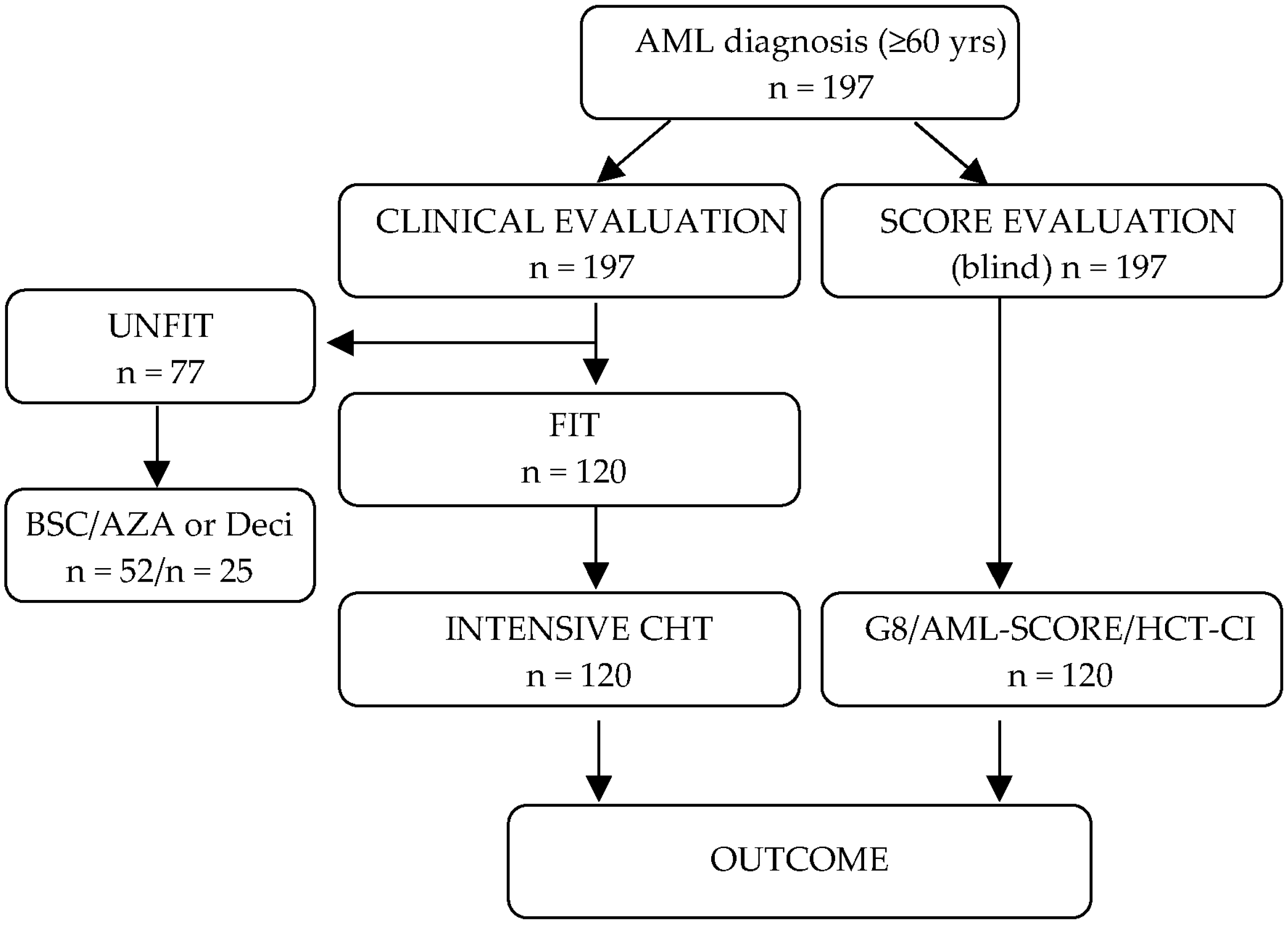 Cancers 15 01002 g001 550
