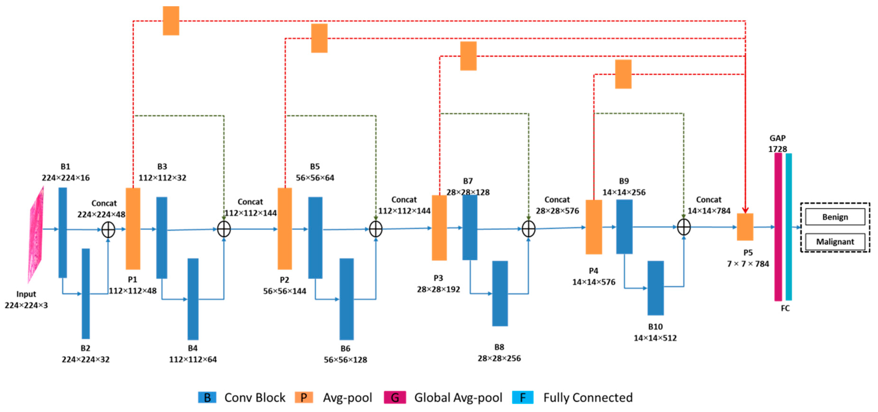 Cancers 15 01013 g001 Cancers 15 01013 g001