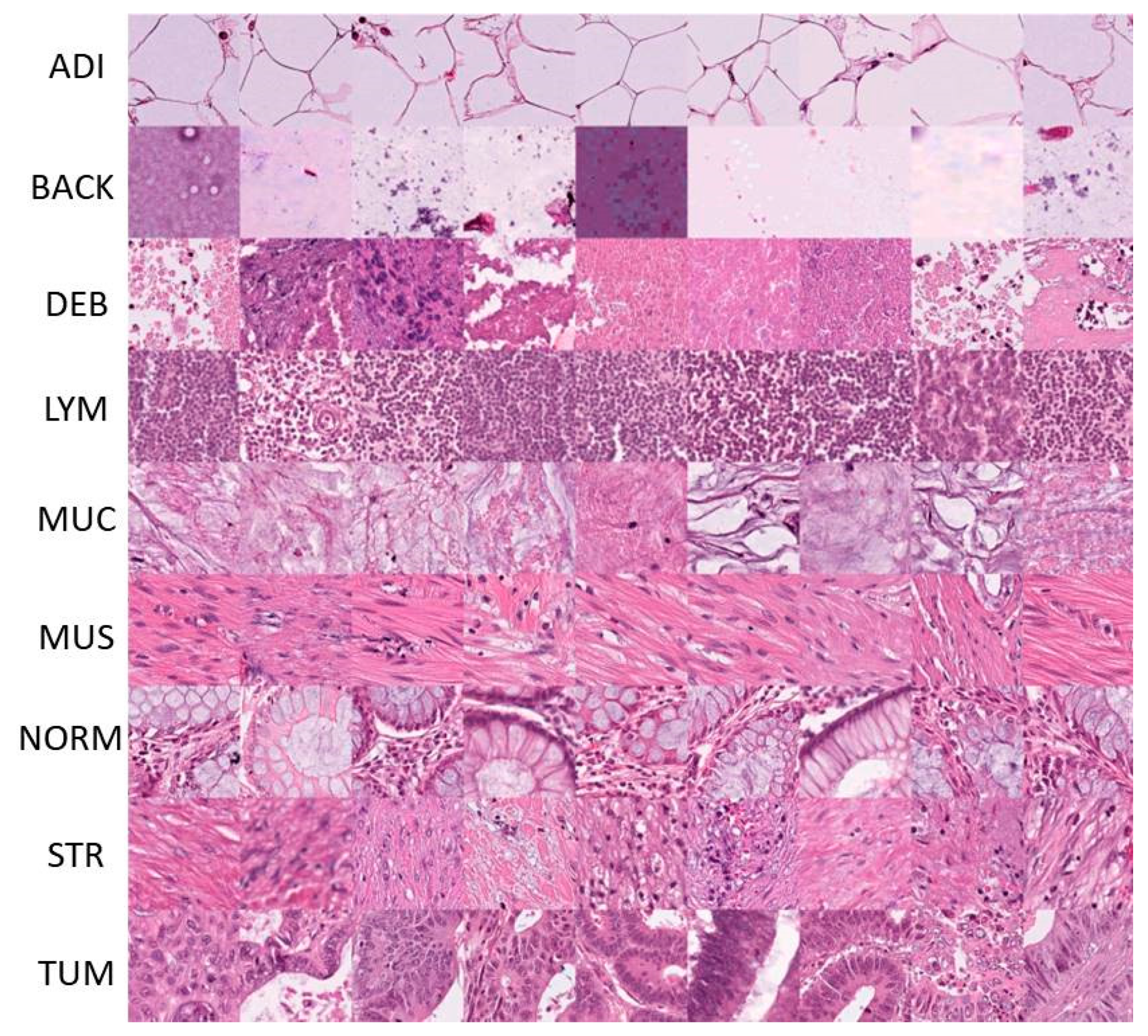 Cancers 15 01013 g006 Cancers 15 01013 g006