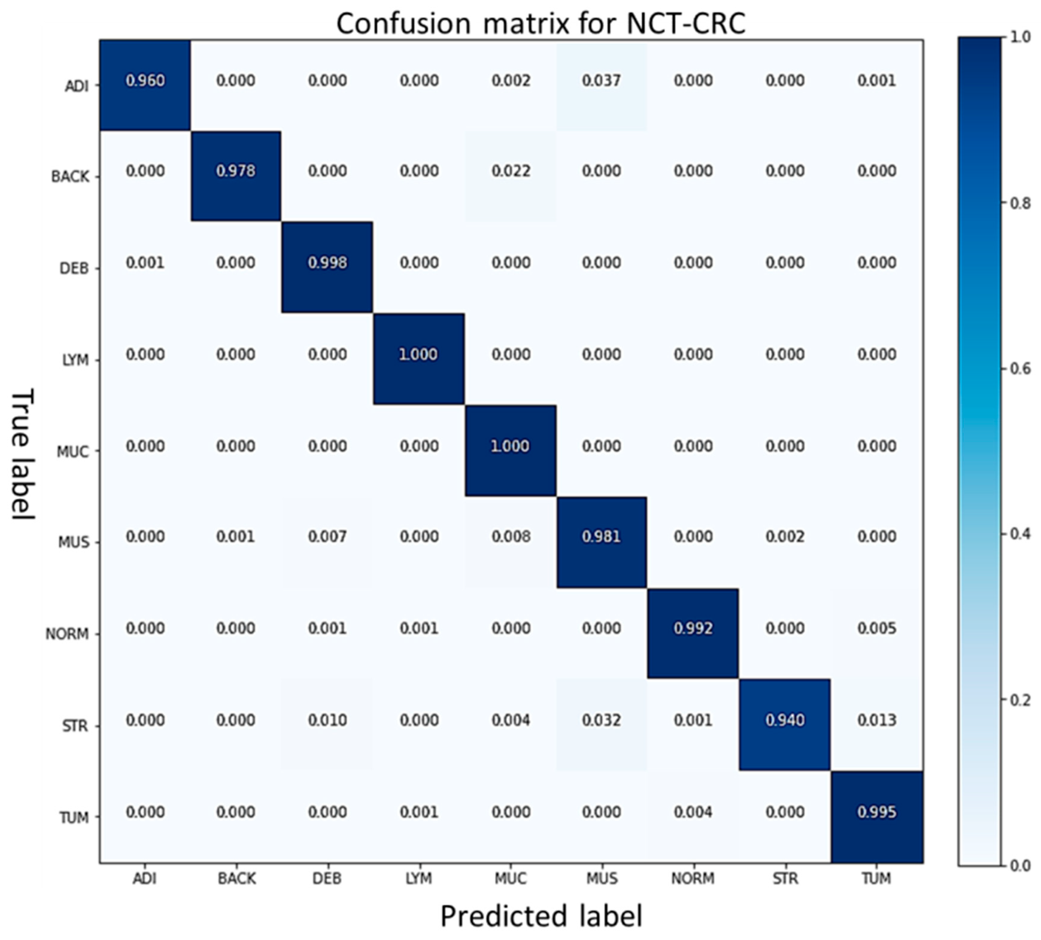 Cancers 15 01013 g010 Cancers 15 01013 g010