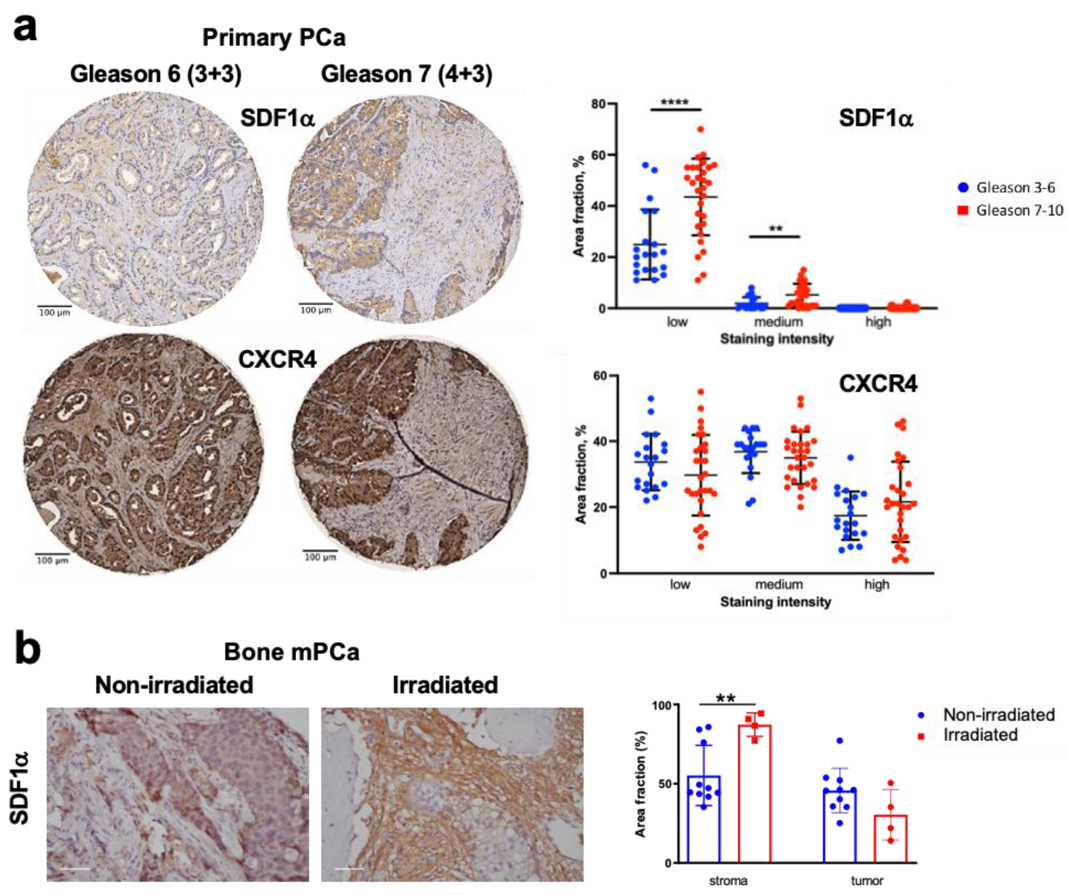 Cancers 15 01021 g001 Cancers 15 01021 g001