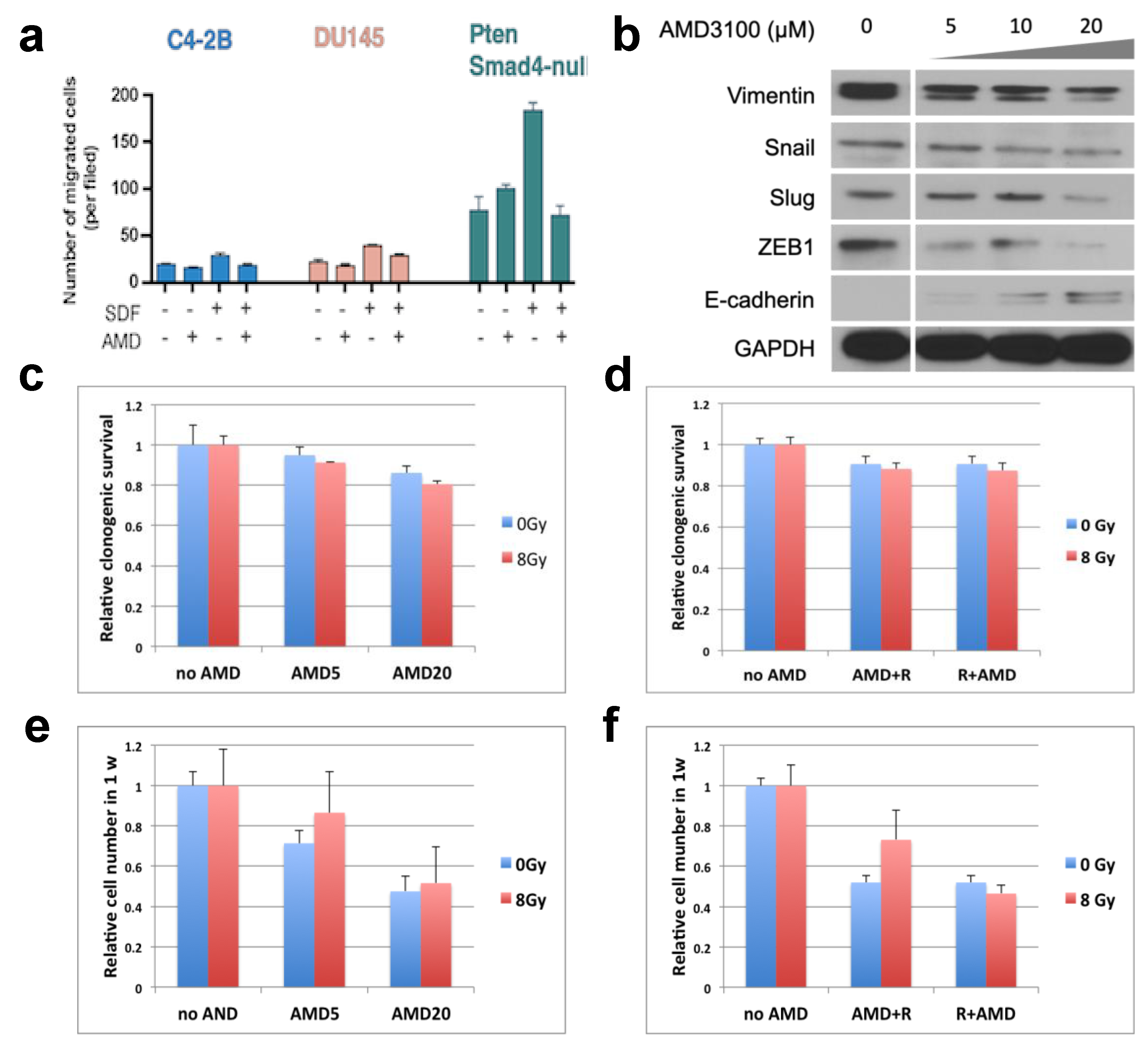 Cancers 15 01021 g002 Cancers 15 01021 g002