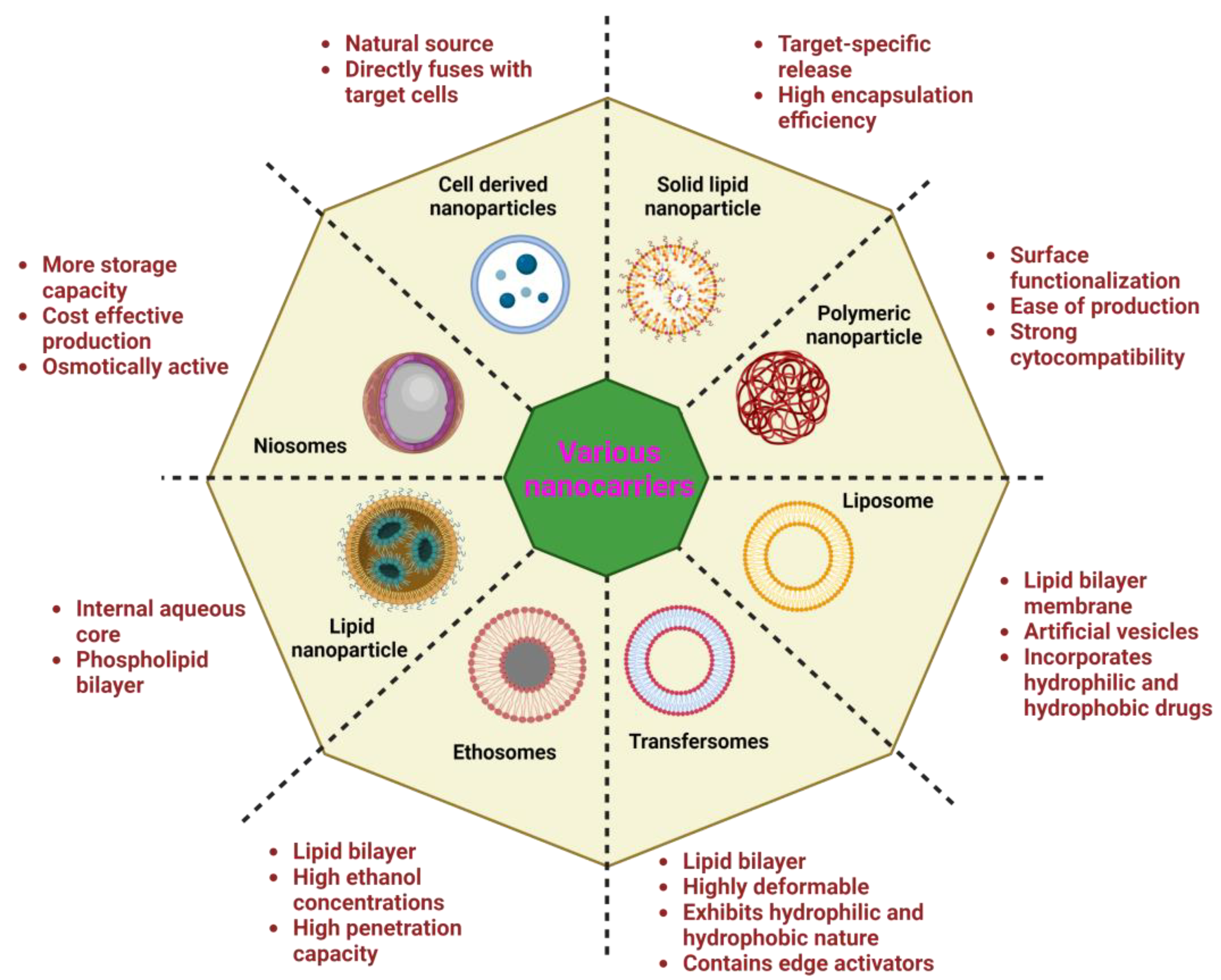 Cancers 15 01023 g003