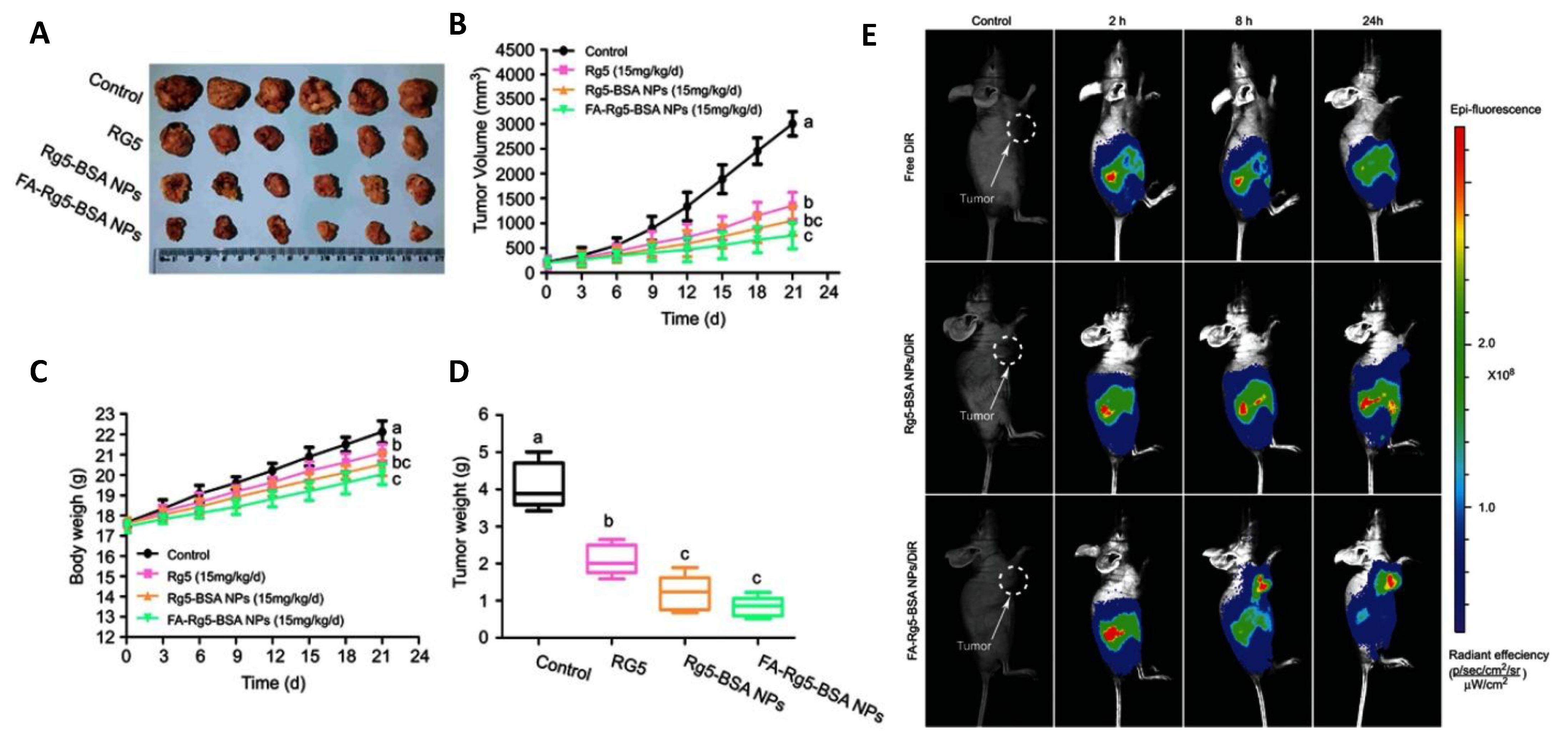 Cancers 15 01023 g004