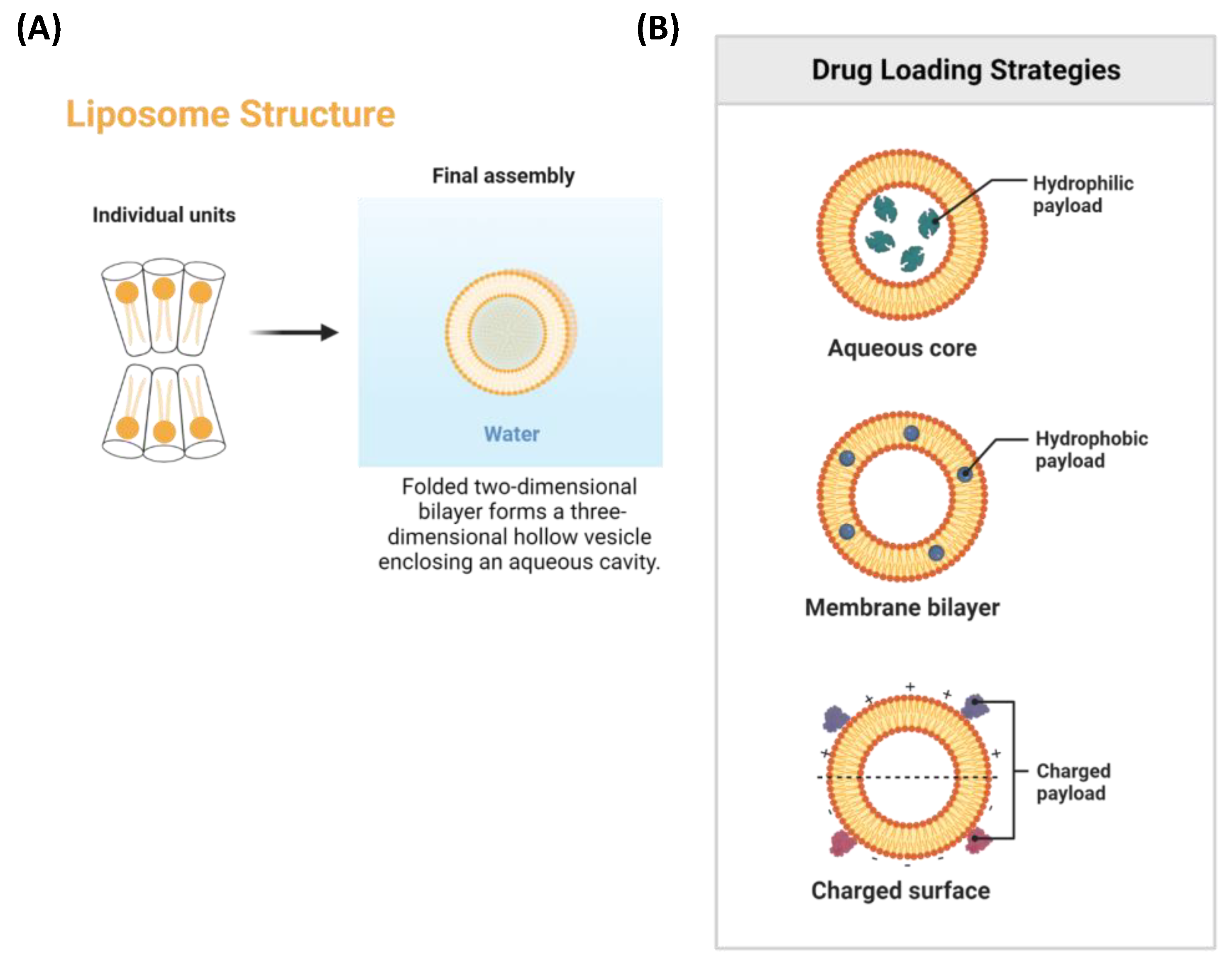 Cancers 15 01023 g005