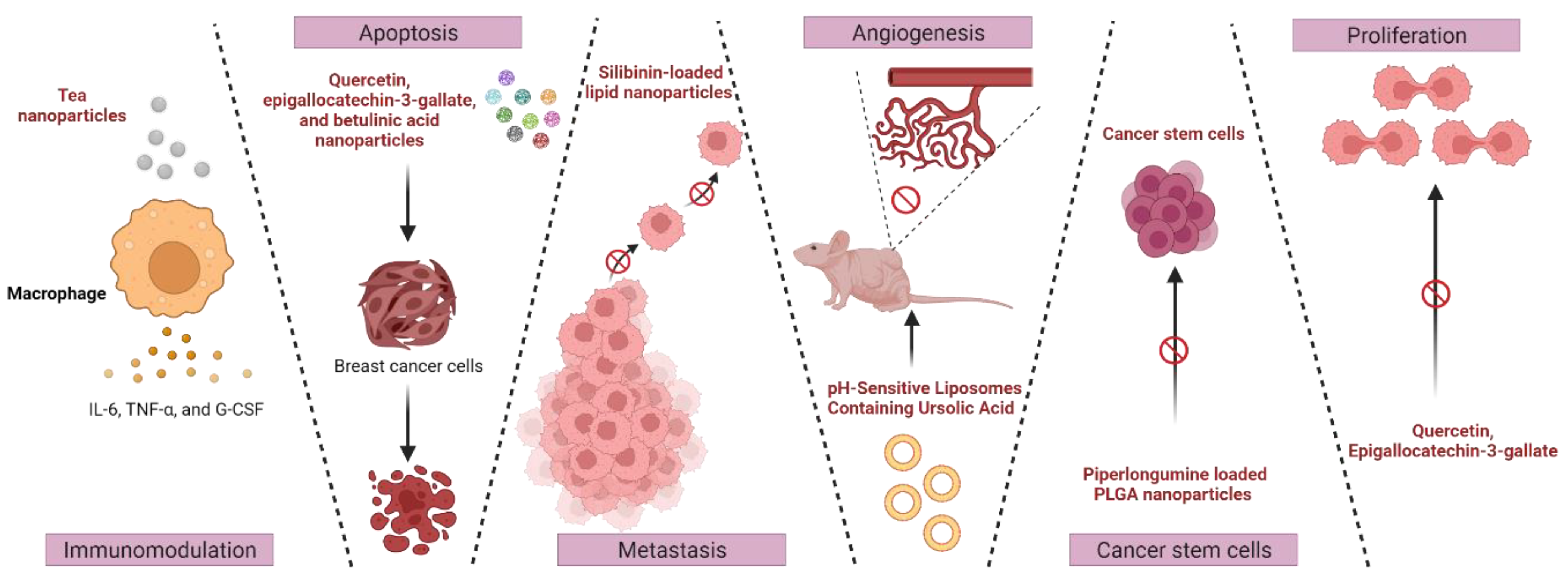 Cancers 15 01023 g006