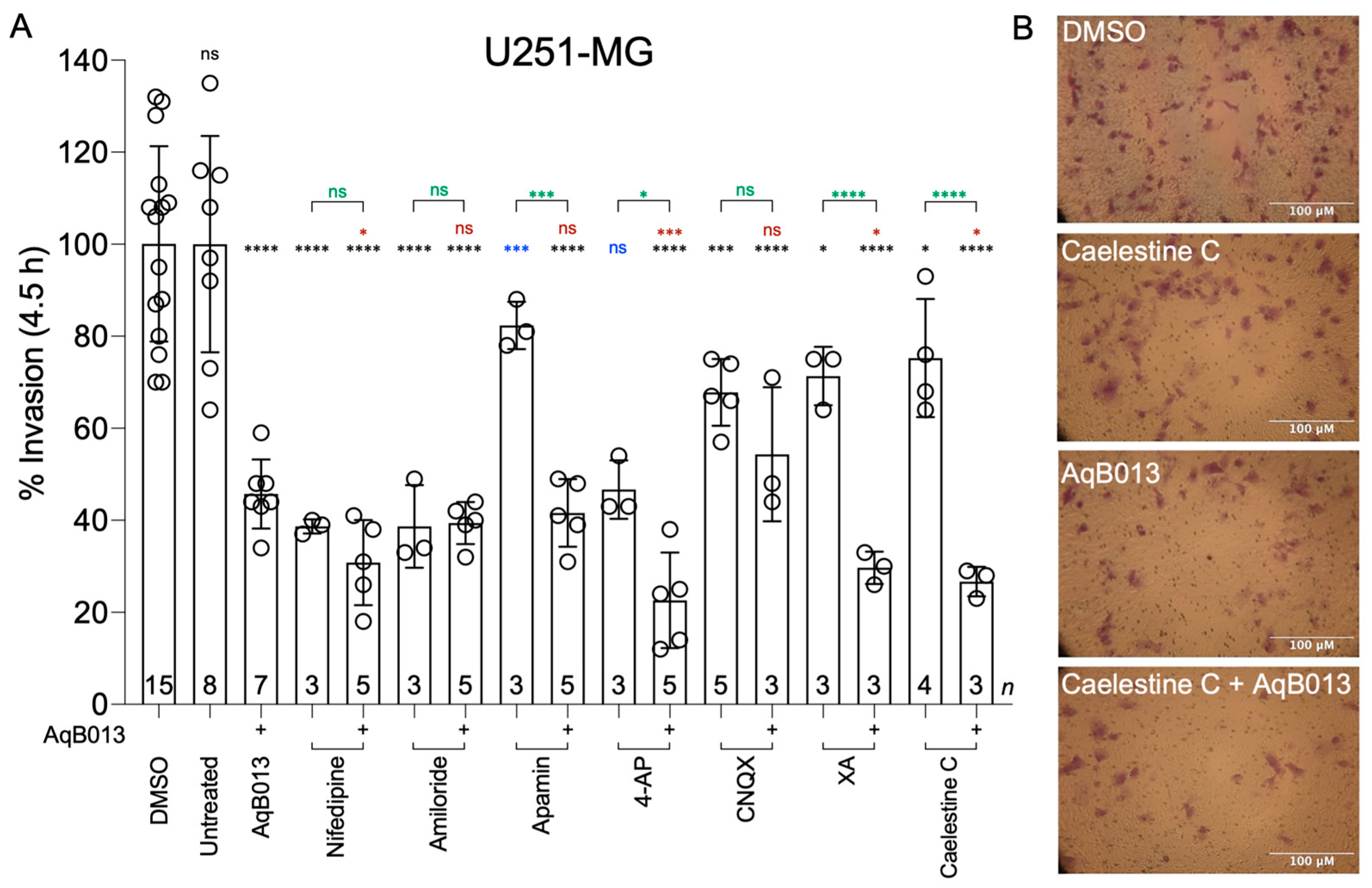 Cancers 15 01027 g003