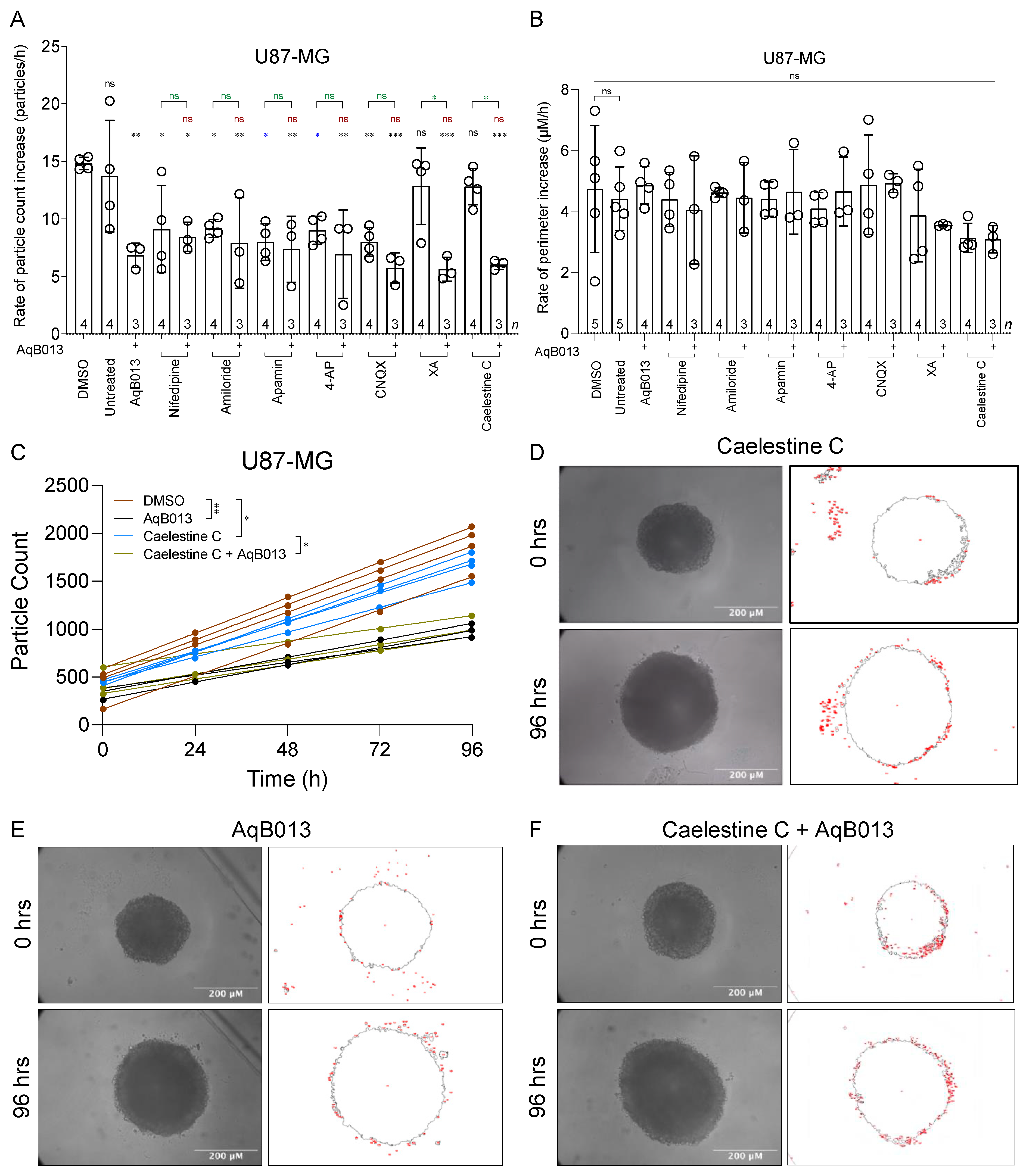 Cancers 15 01027 g005