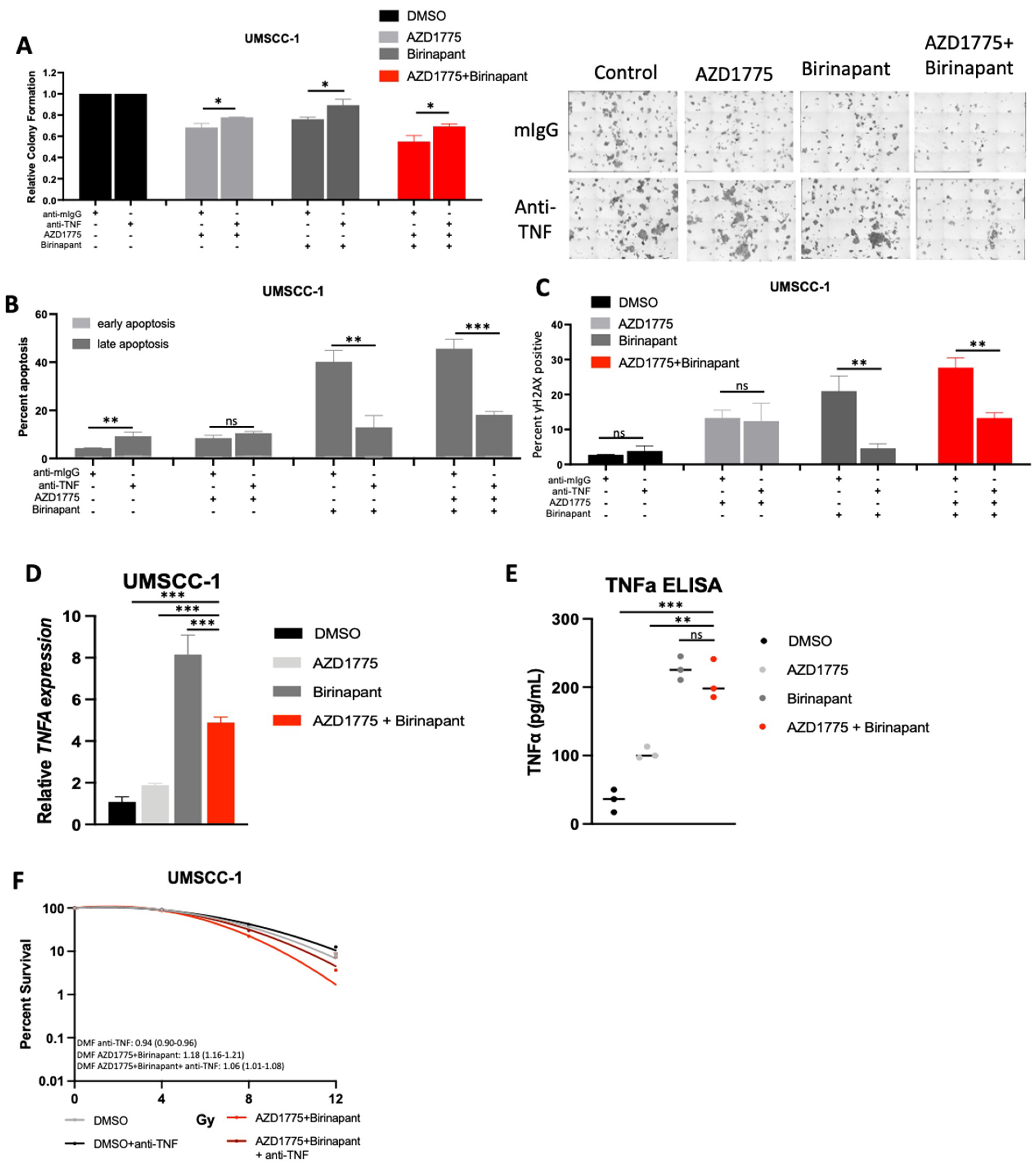 Cancers 15 01029 g006