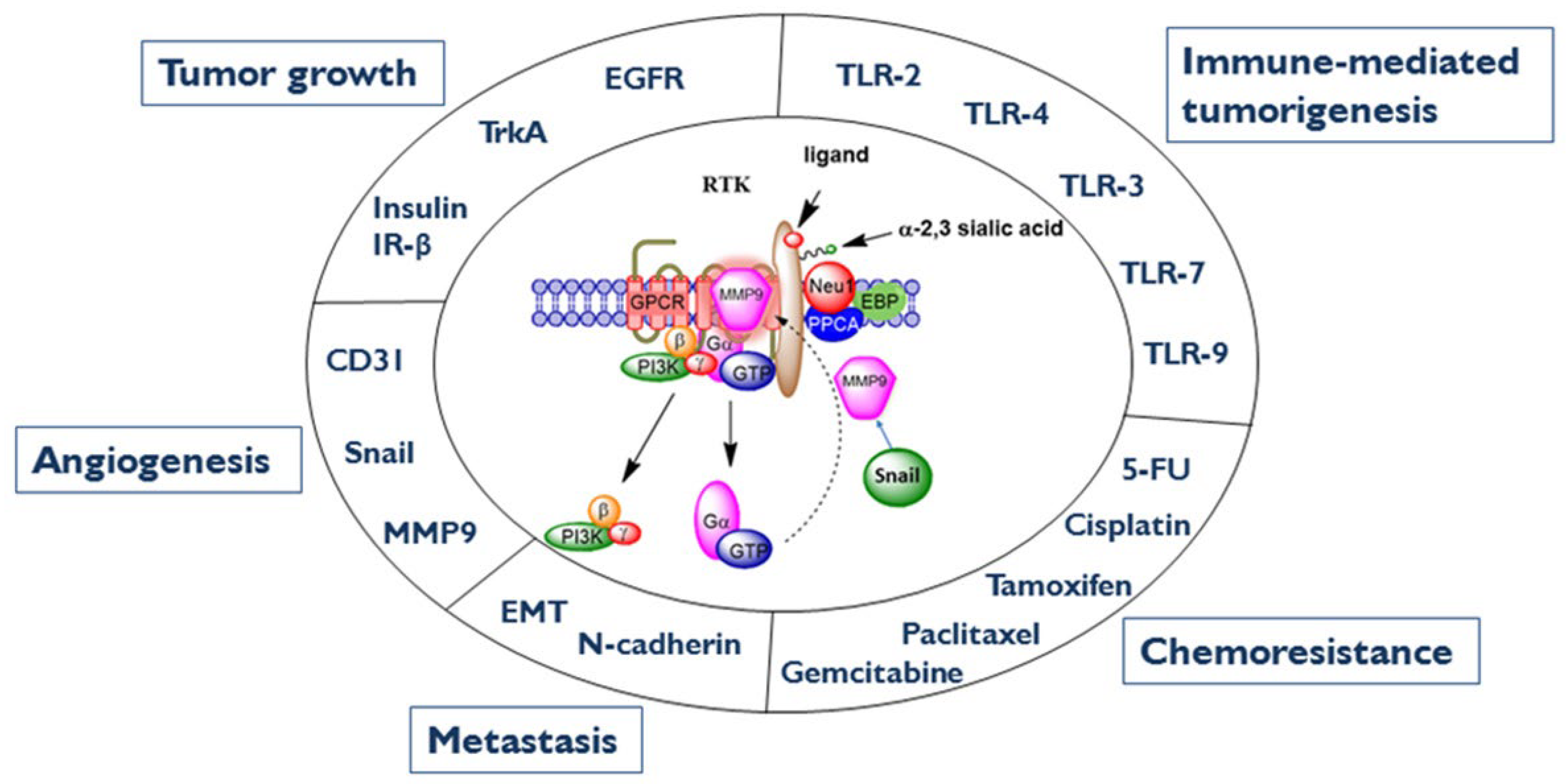 Cancers 15 01030 g003
