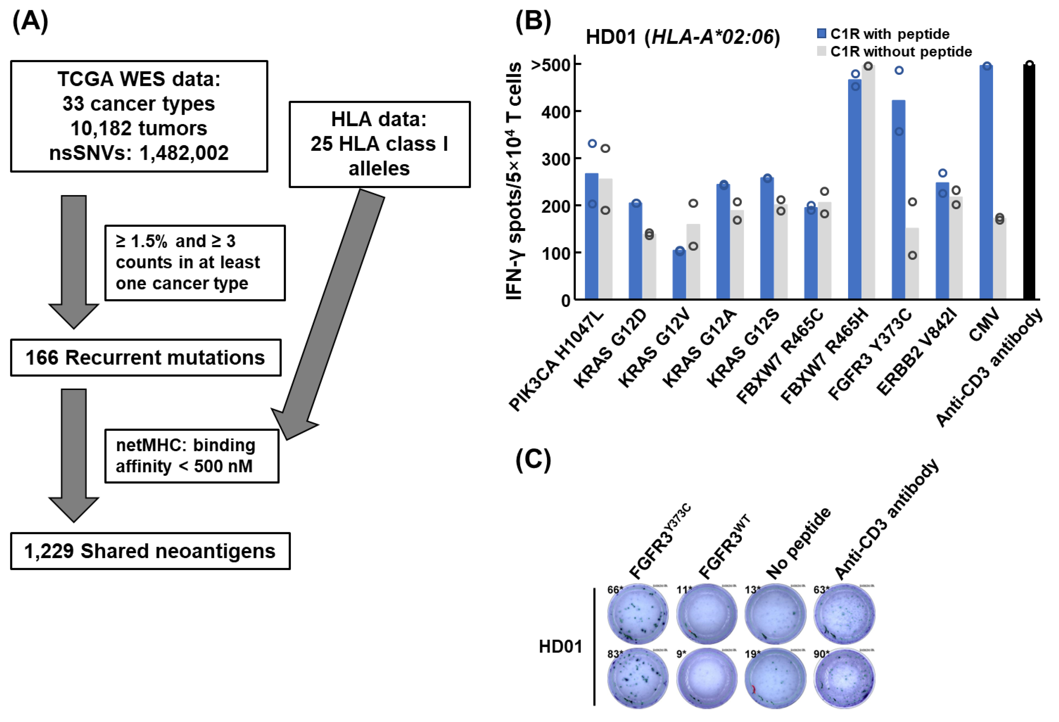 Cancers 15 01031 g001 550