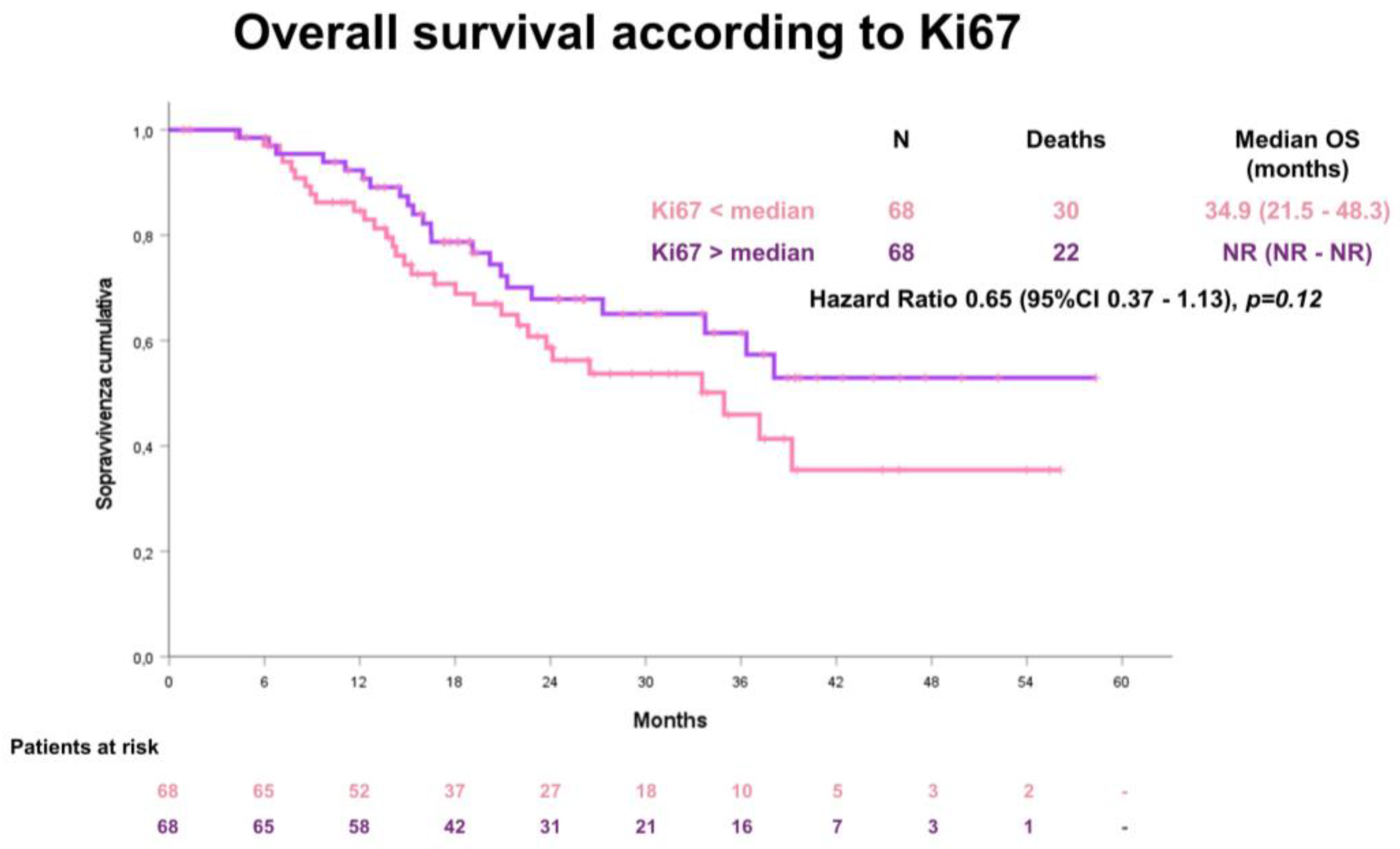 Cancers 15 01032 g004