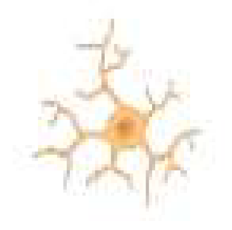 Cancers 15 01042 i001 Cancers 15 01042 i001