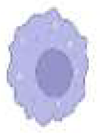 Cancers 15 01042 i003 Cancers 15 01042 i003