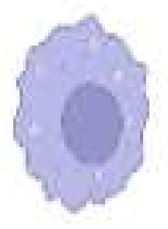 Cancers 15 01042 i004 Cancers 15 01042 i004