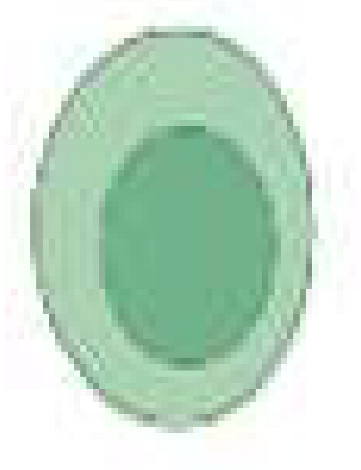 Cancers 15 01042 i005 Cancers 15 01042 i005