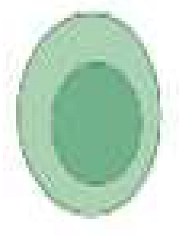 Cancers 15 01042 i006 Cancers 15 01042 i006