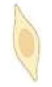 Cancers 15 01042 i008 Cancers 15 01042 i008