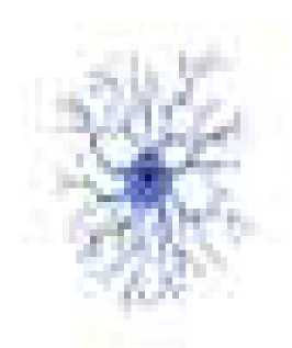 Cancers 15 01042 i009 Cancers 15 01042 i009