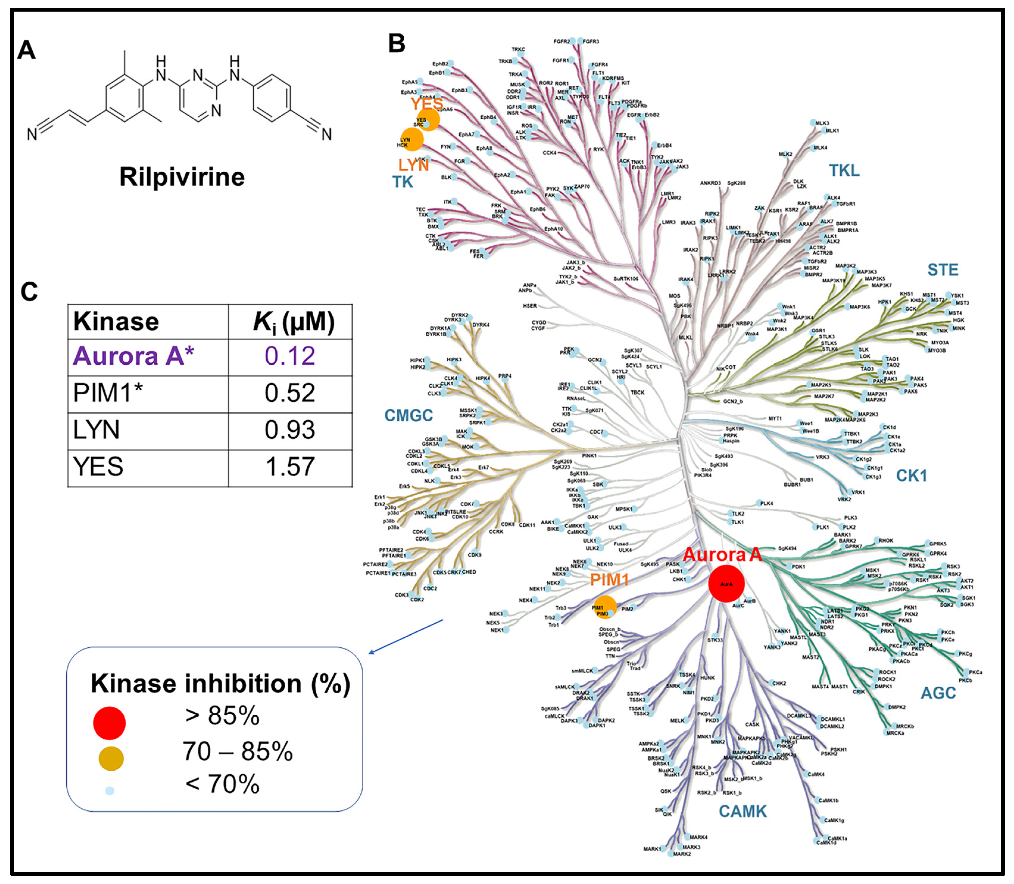 Cancers 15 01044 g001 Cancers 15 01044 g001