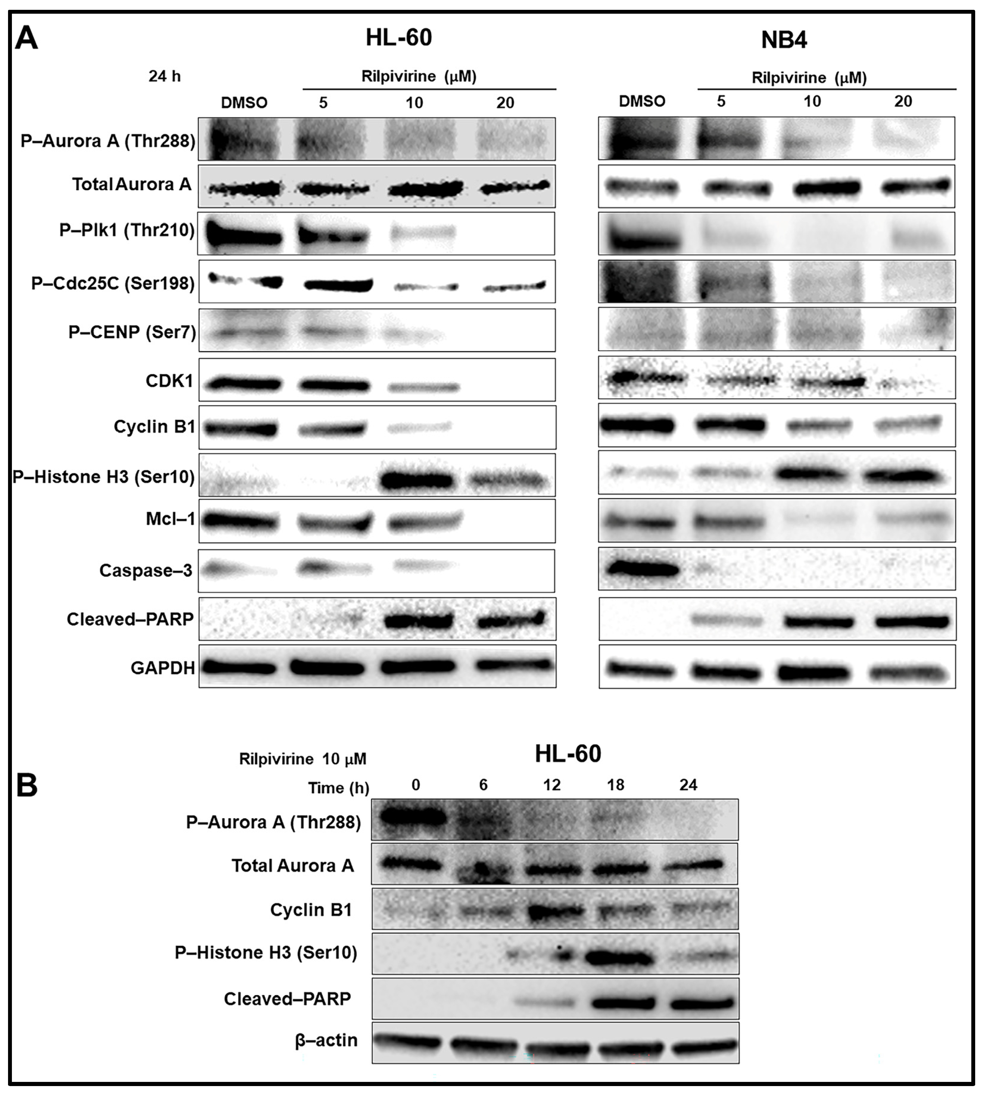 Cancers 15 01044 g005 Cancers 15 01044 g005