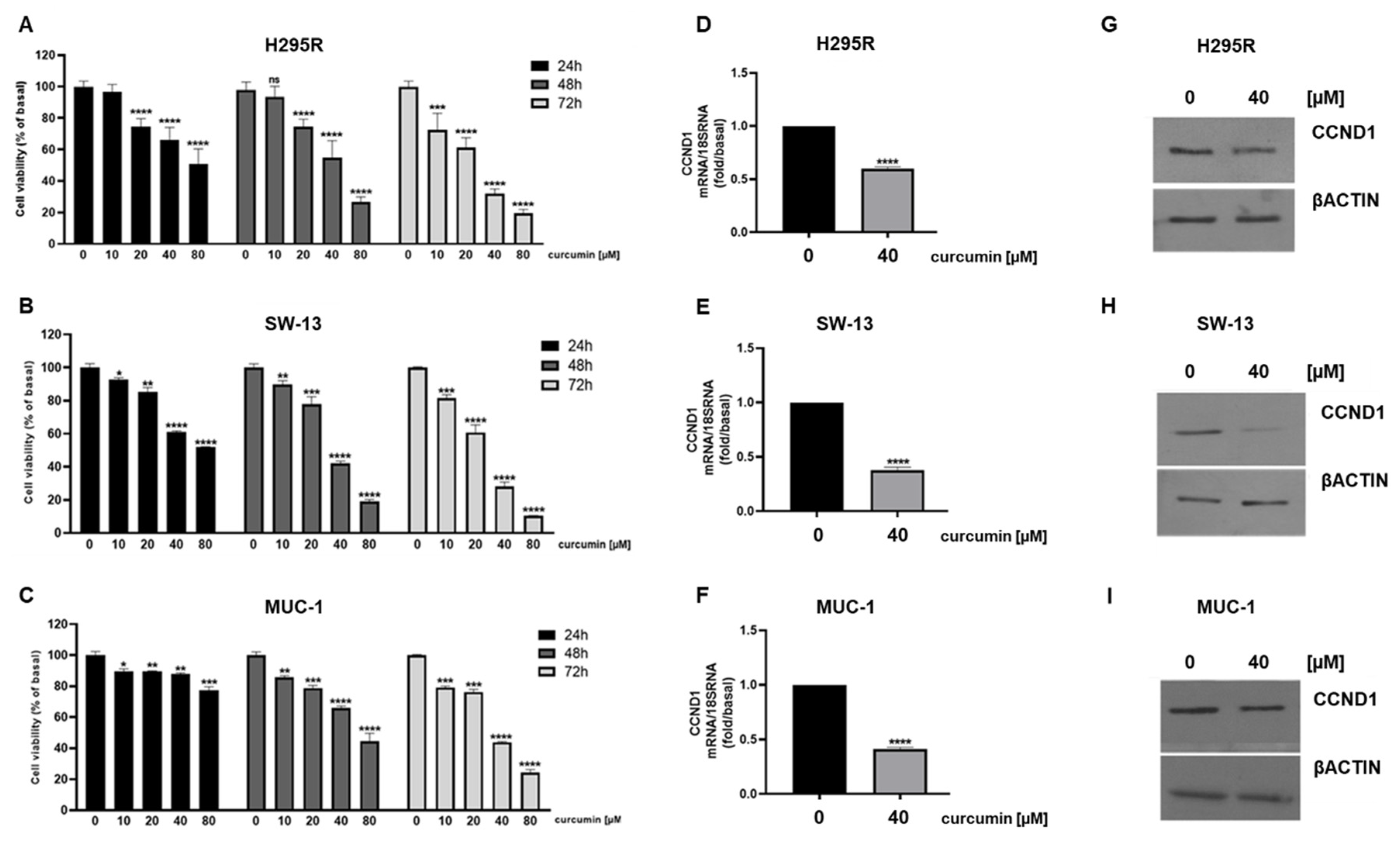 Cancers 15 01050 g001 550