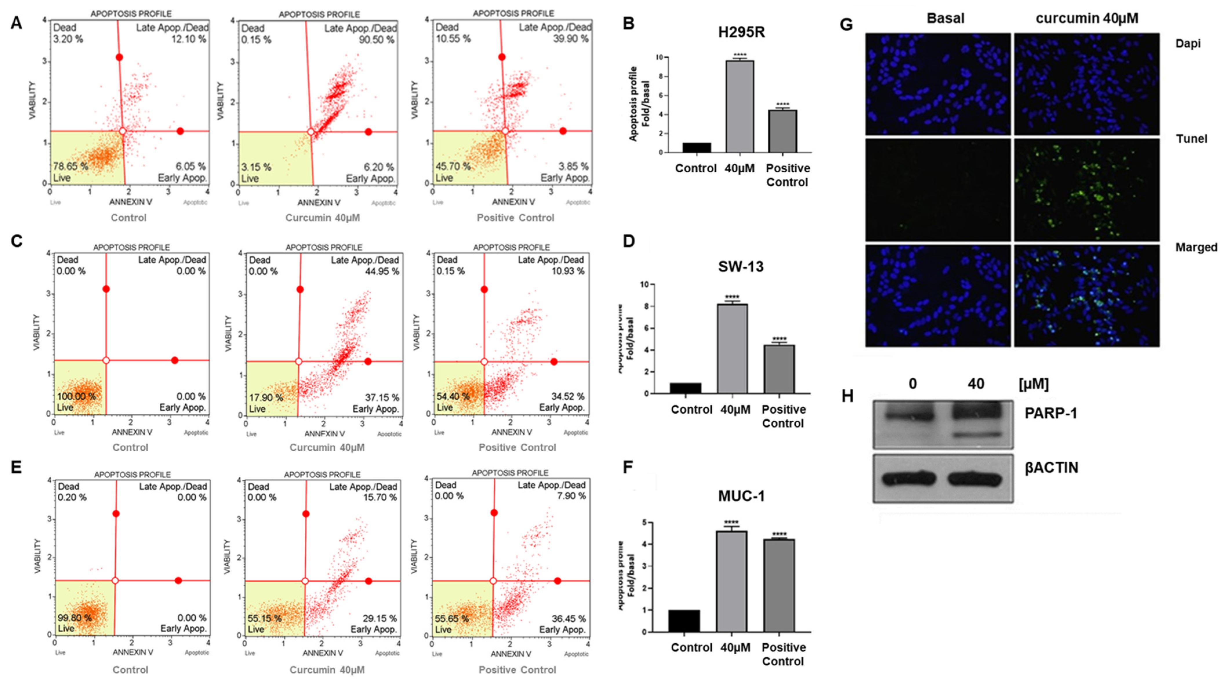 Cancers 15 01050 g002 550