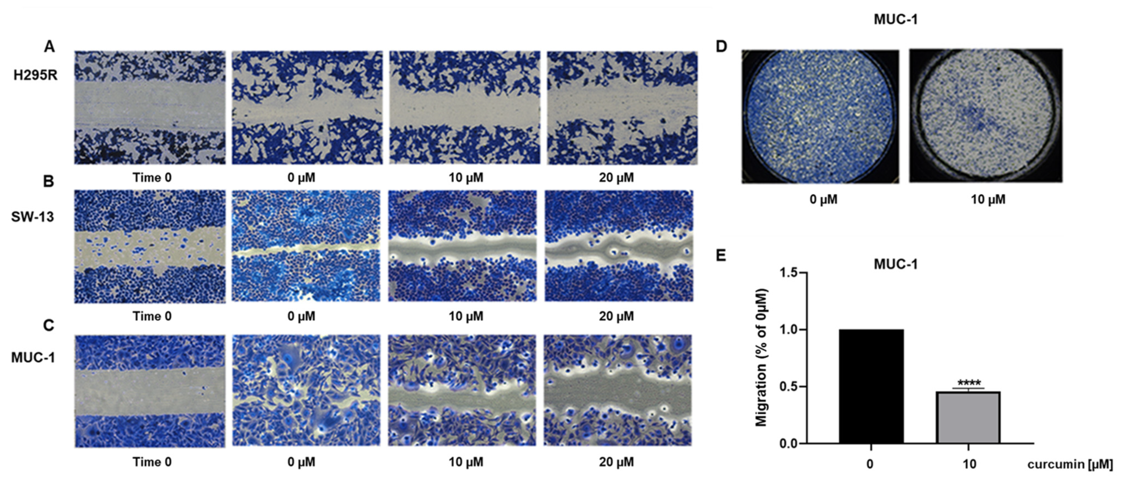 Cancers 15 01050 g003 550