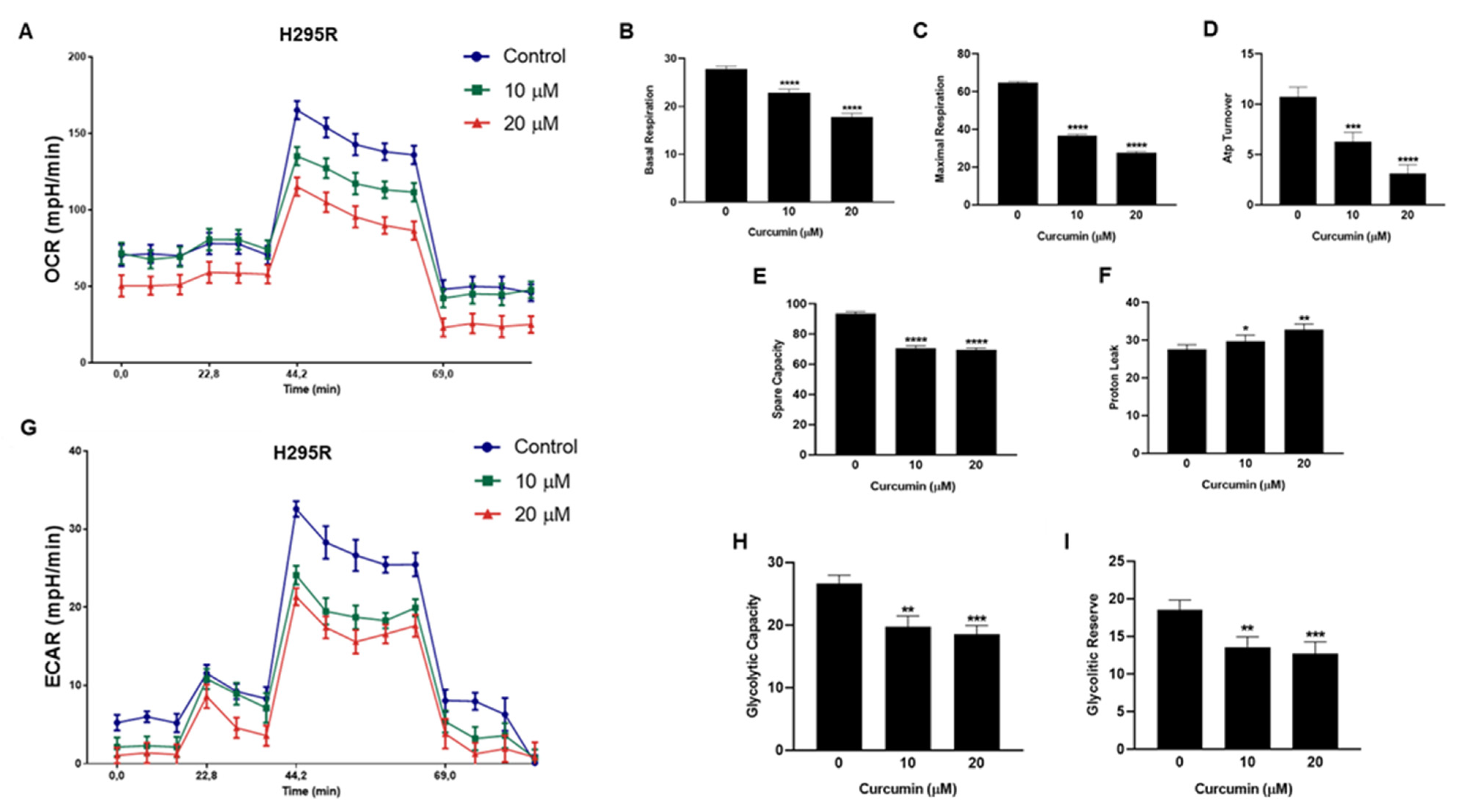 Cancers 15 01050 g004 550
