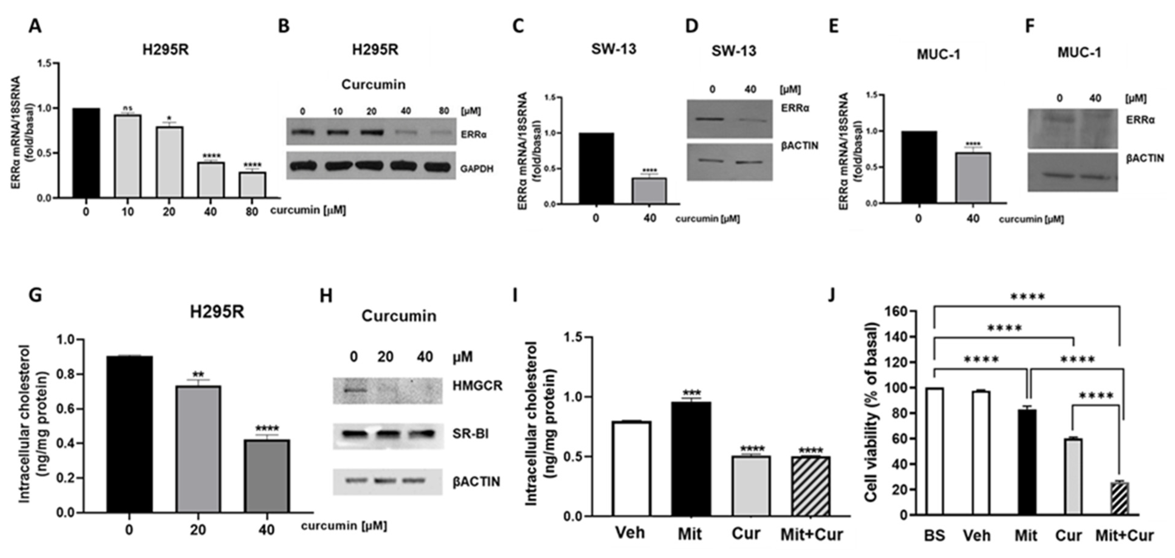 Cancers 15 01050 g005 550