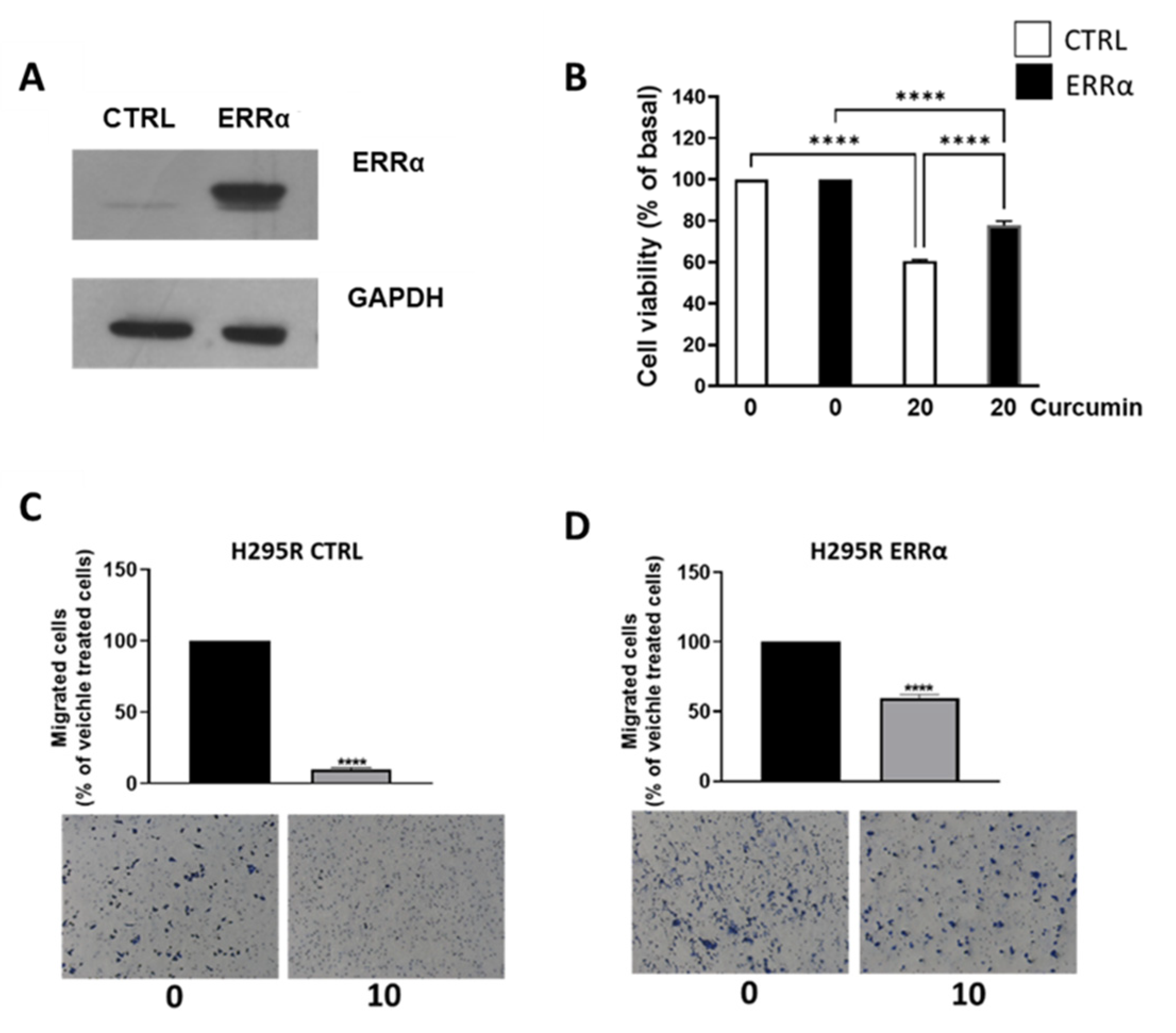 Cancers 15 01050 g006 550