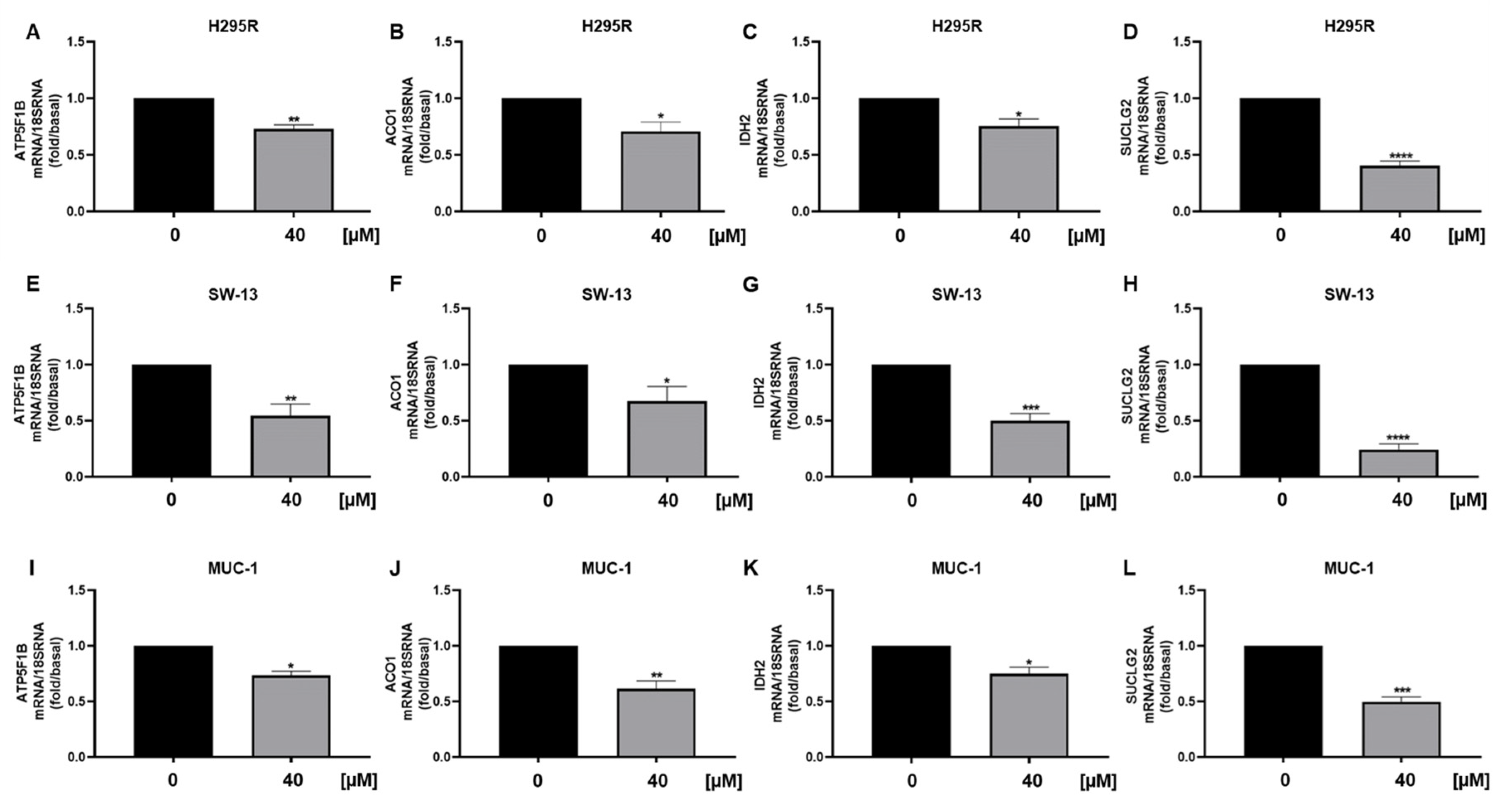 Cancers 15 01050 g008 550