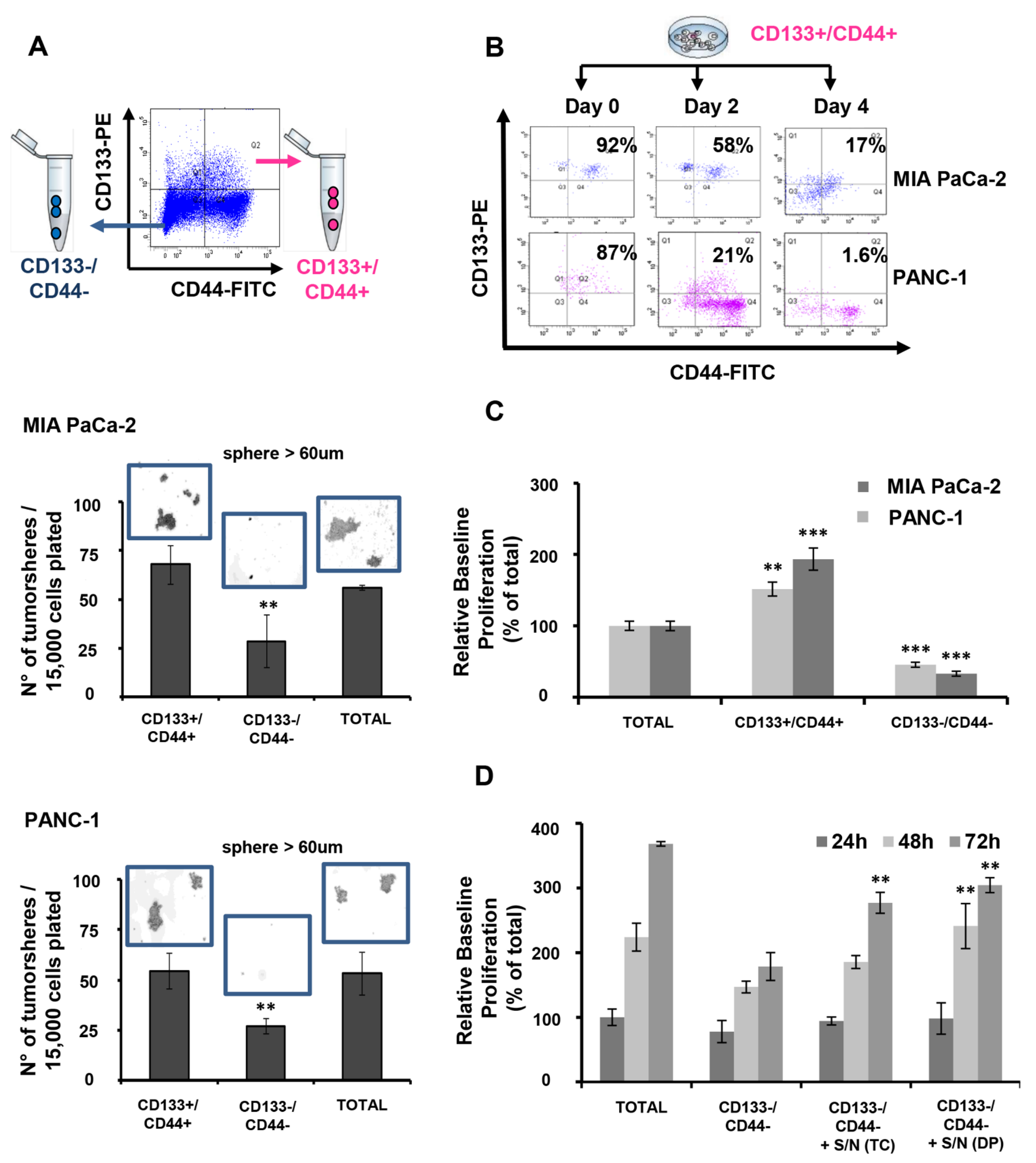 Cancers 15 01053 g001 Cancers 15 01053 g001