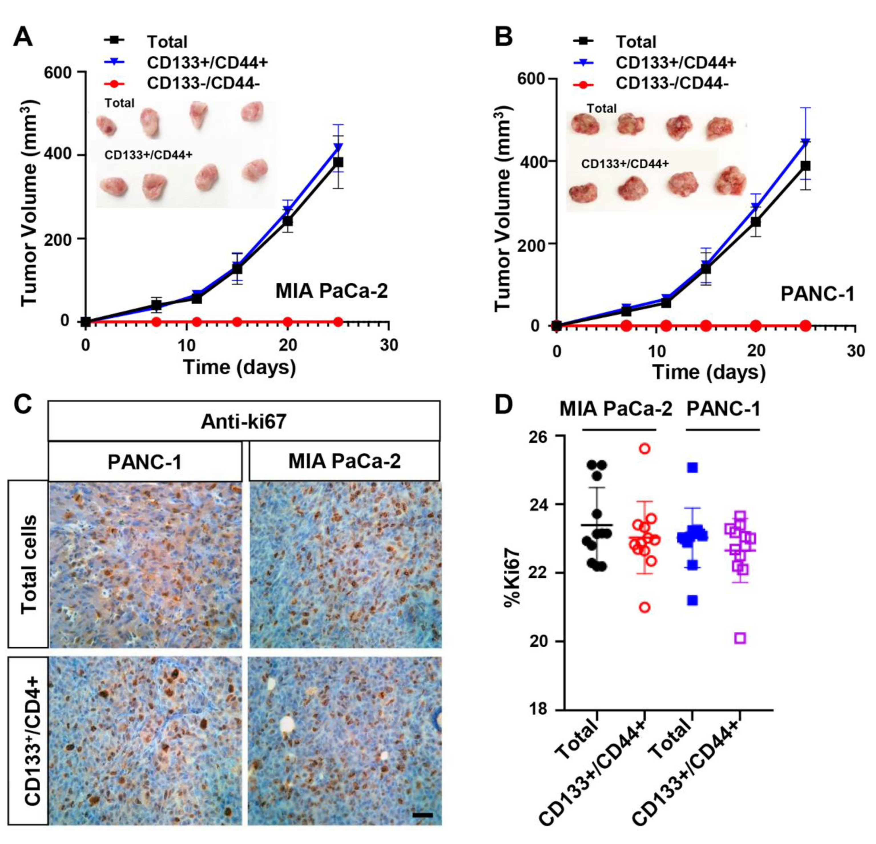 Cancers 15 01053 g003 Cancers 15 01053 g003