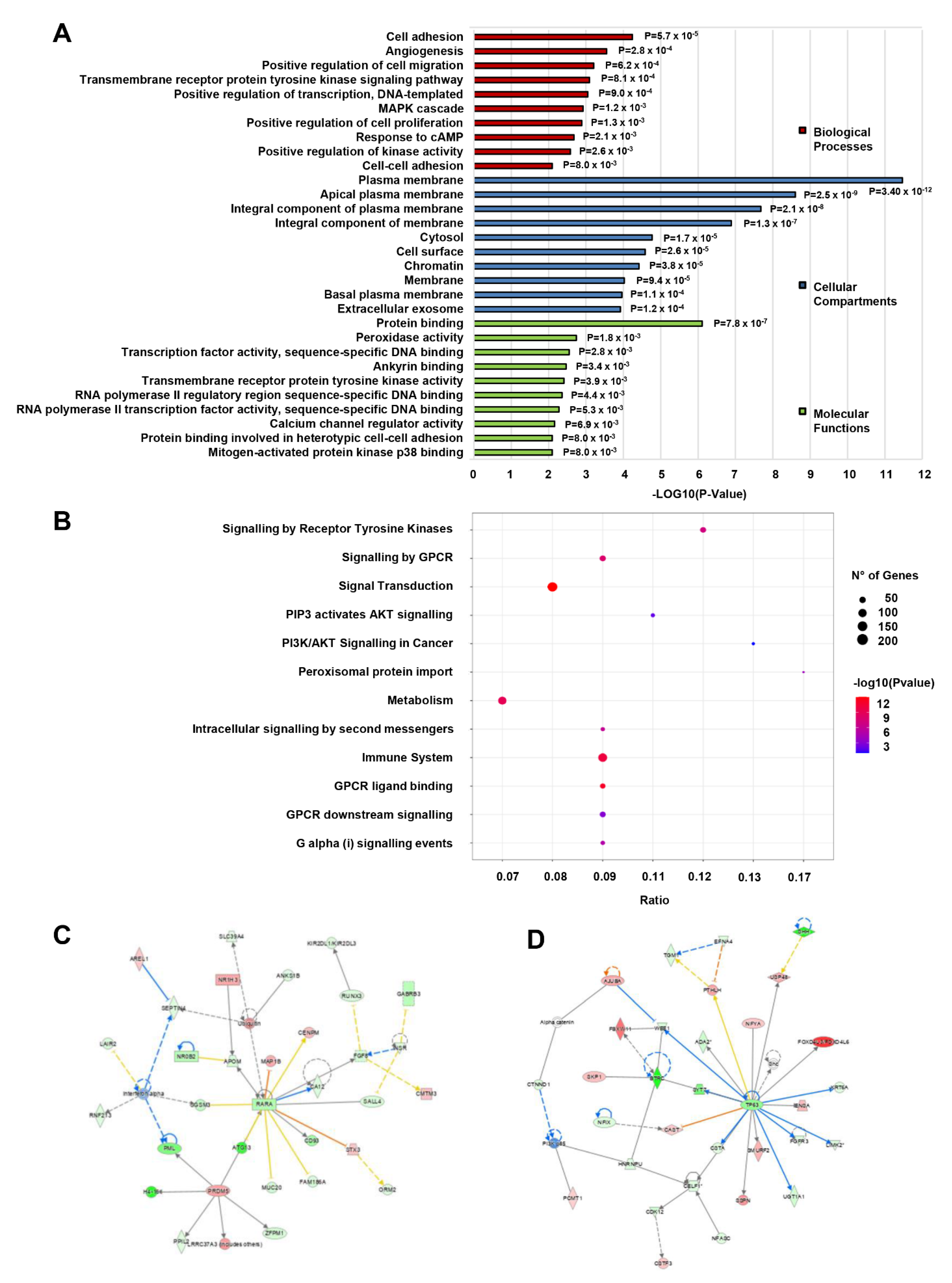 Cancers 15 01053 g005 Cancers 15 01053 g005