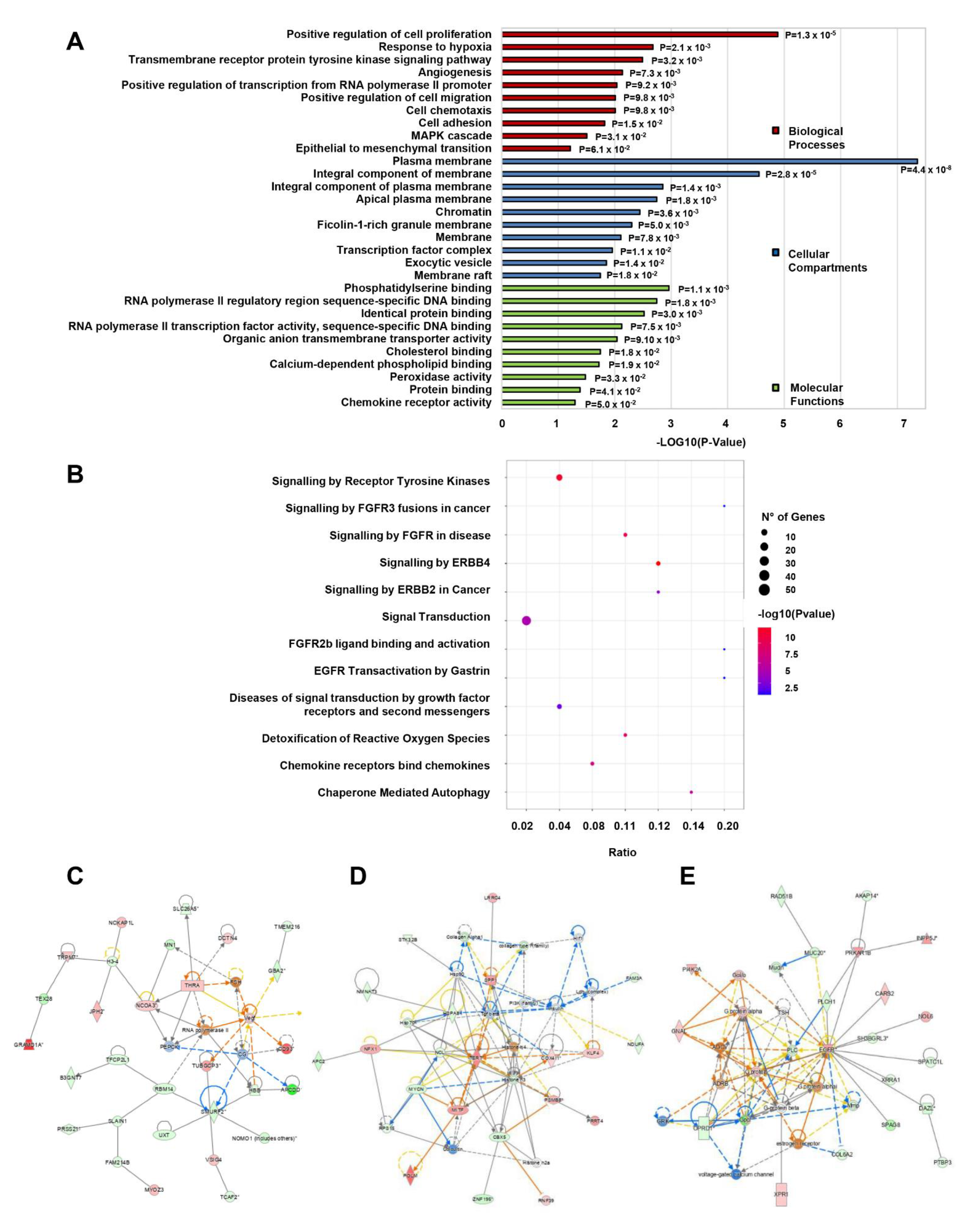 Cancers 15 01053 g006 Cancers 15 01053 g006