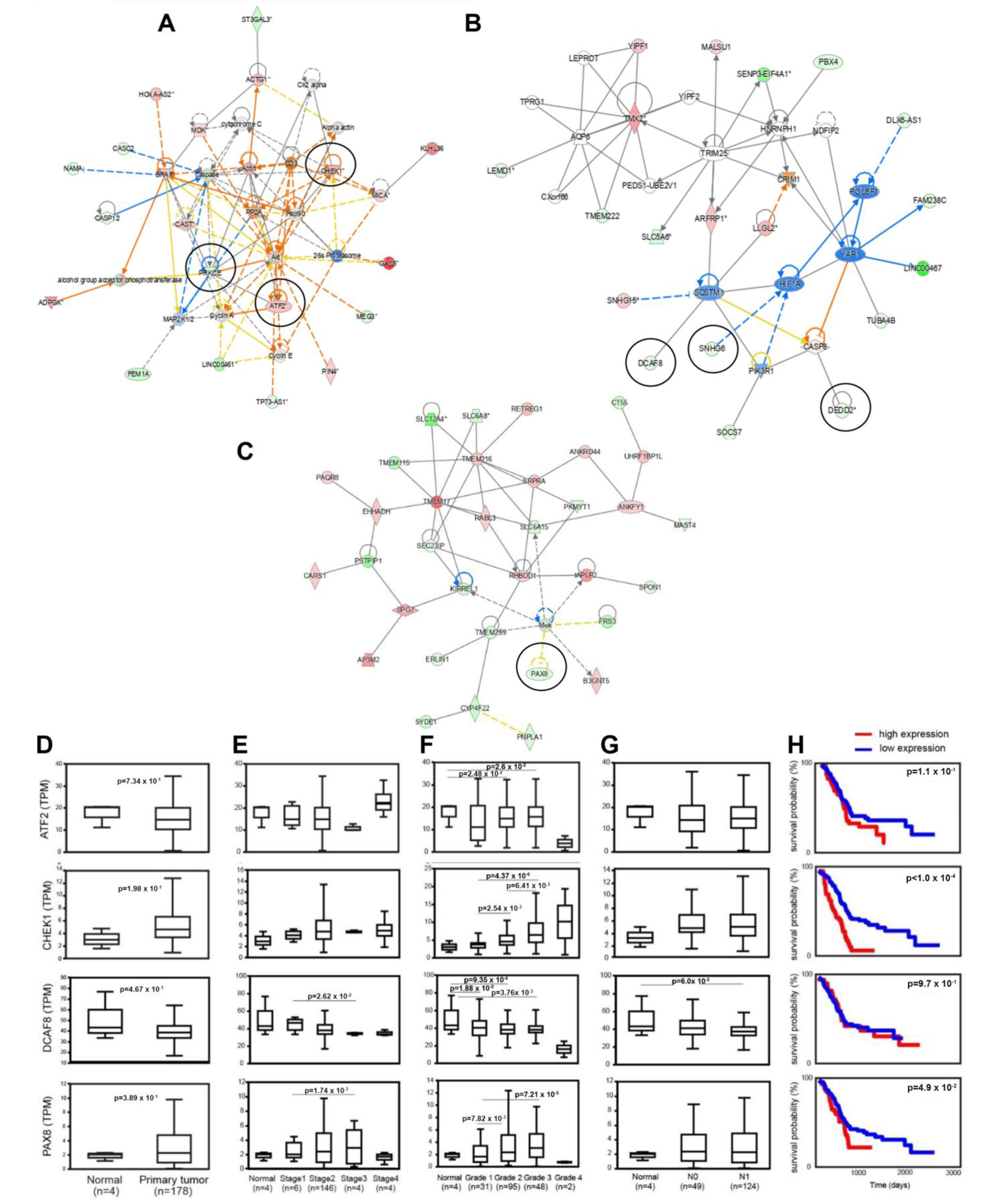 Cancers 15 01053 g007 Cancers 15 01053 g007