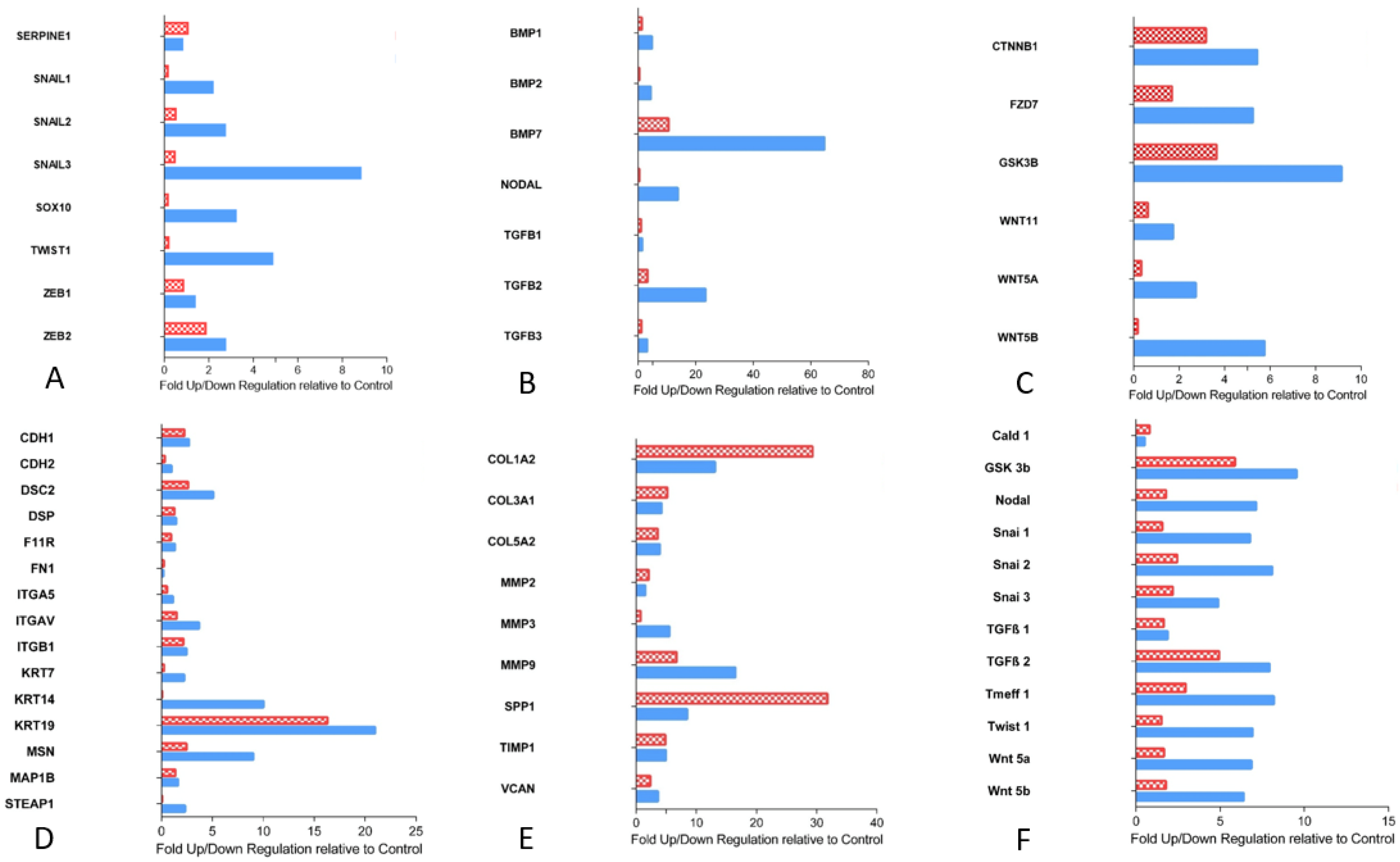 Cancers 15 01056 g002 Cancers 15 01056 g002