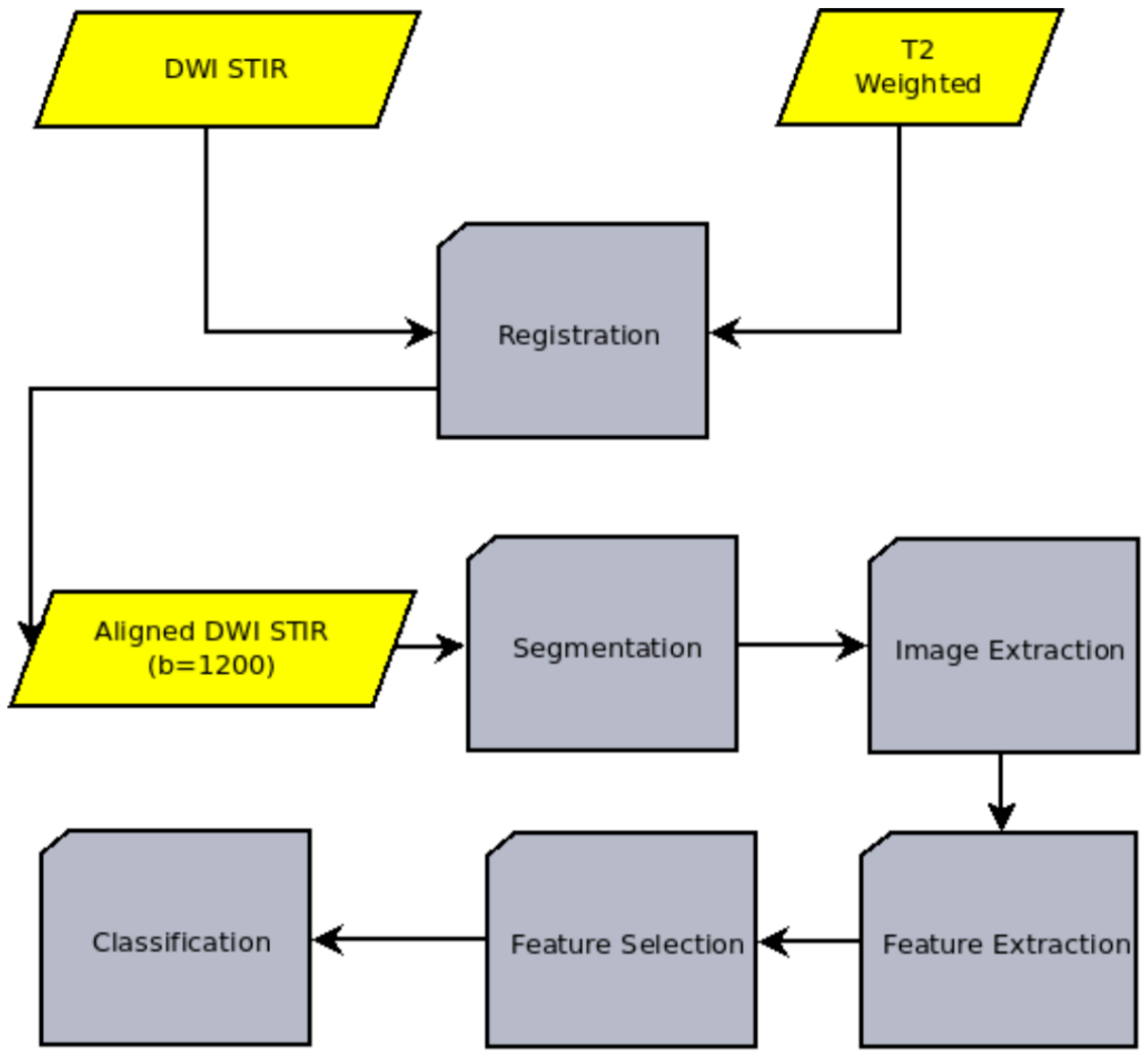 Cancers 15 01058 g001