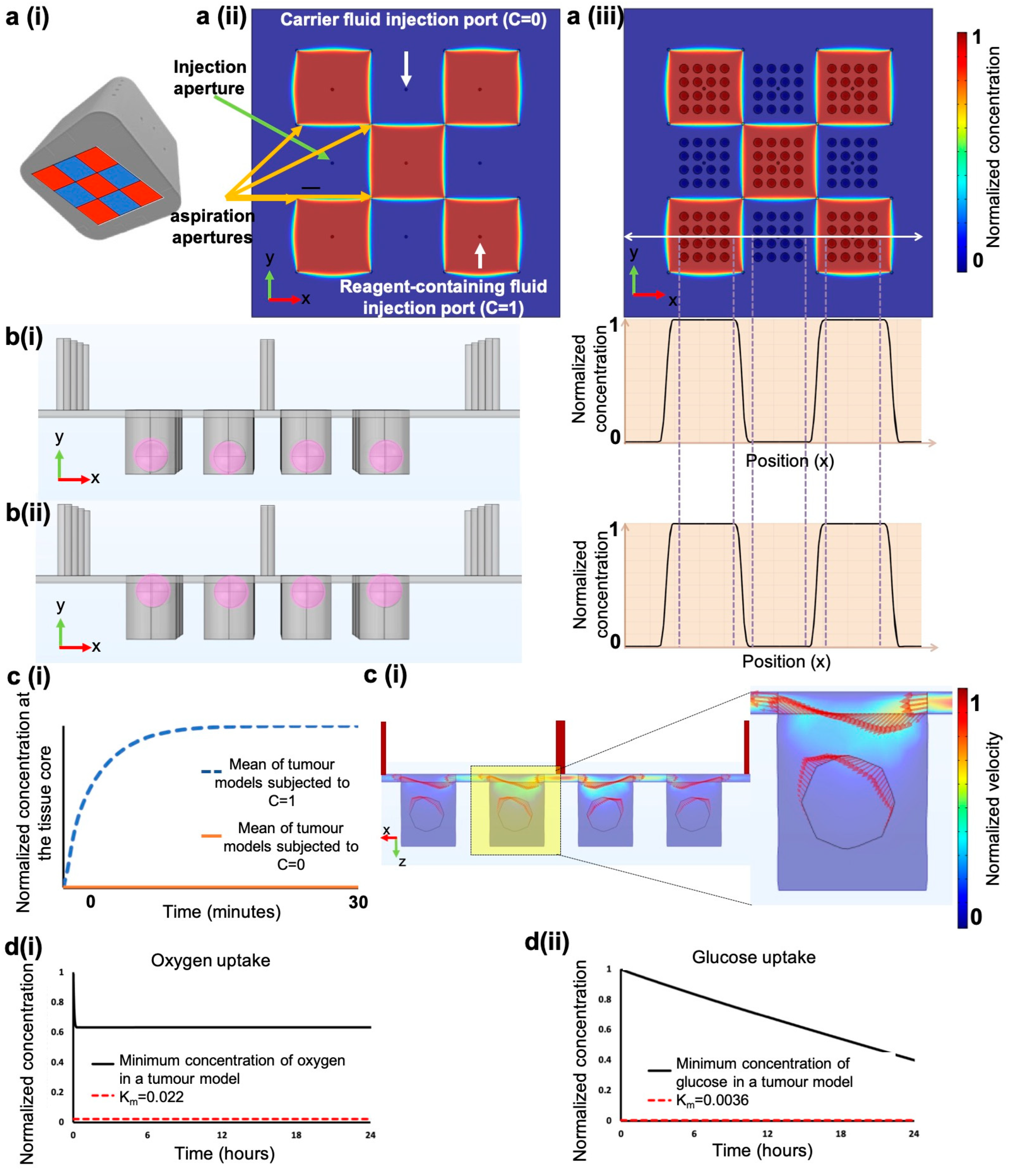 Cancers 15 01060 g002 Cancers 15 01060 g002
