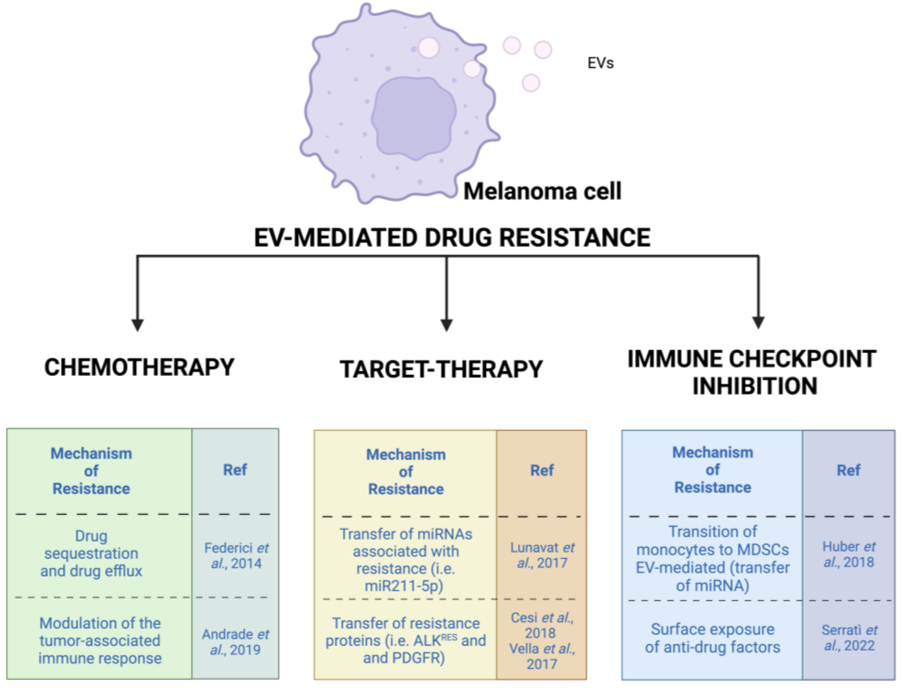 Cancers 15 01074 g003