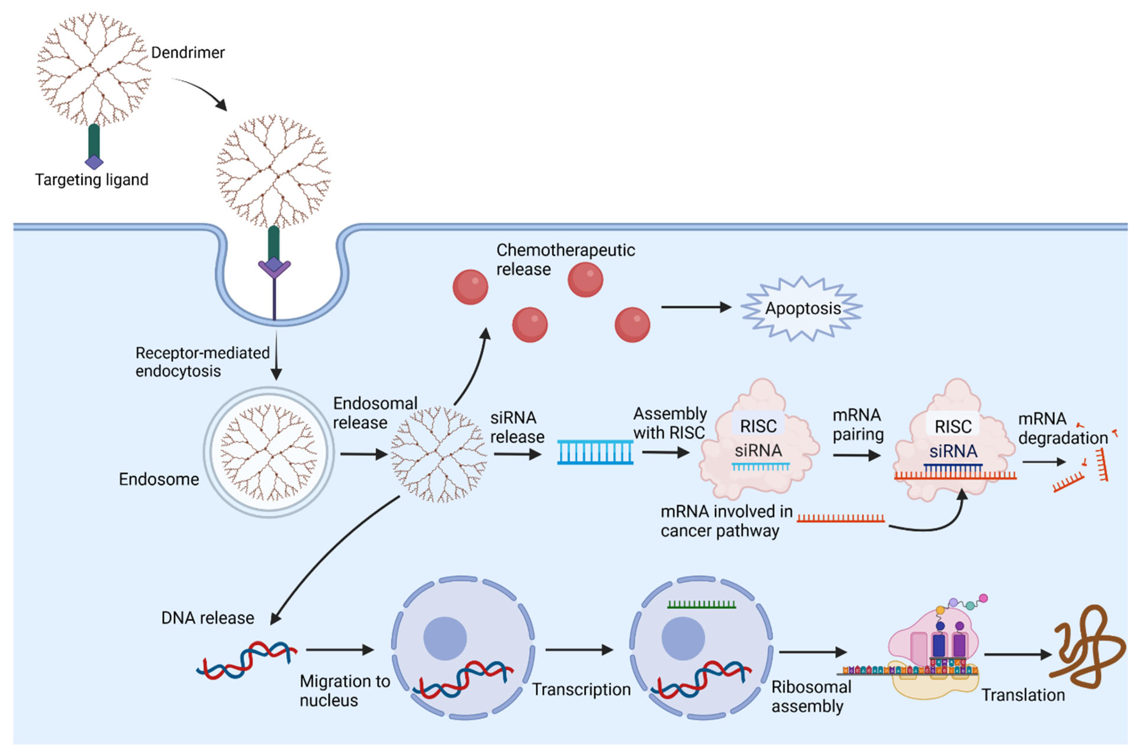 Cancers 15 01075 g003 Cancers 15 01075 g003