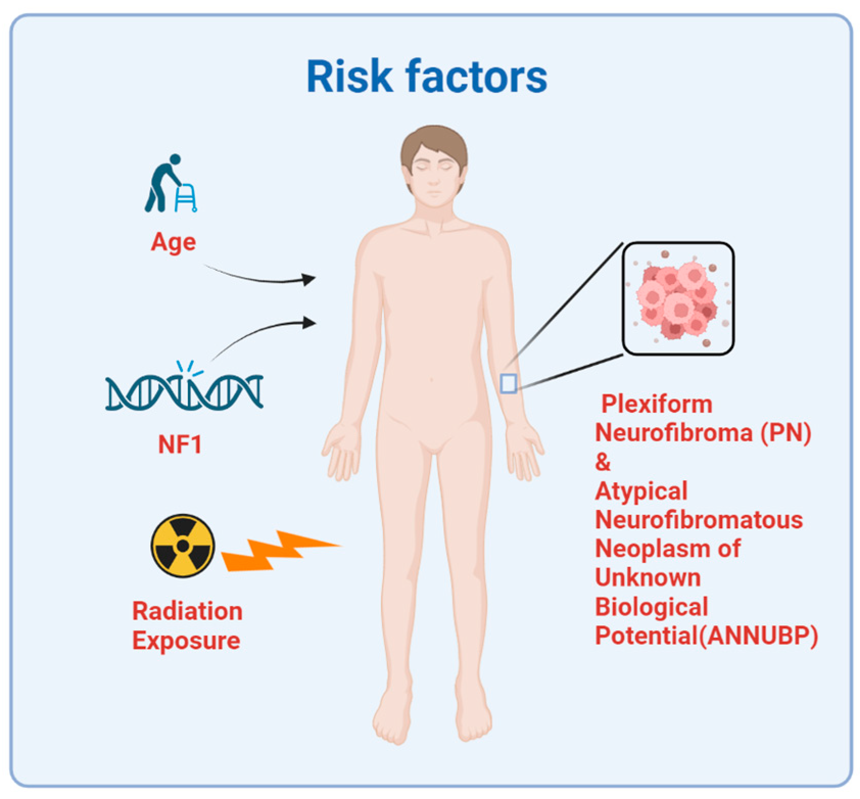 Cancers 15 01077 g002 Cancers 15 01077 g002